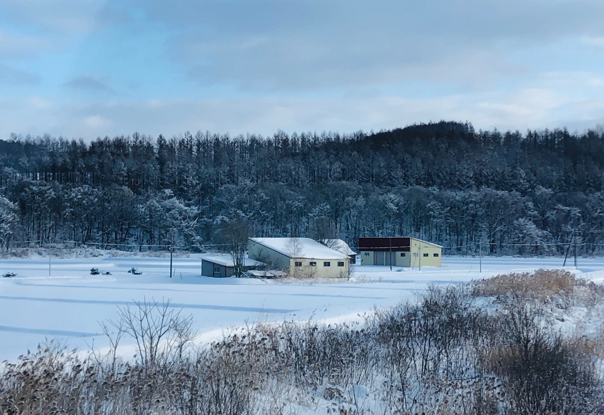 北海道自助遊攻略