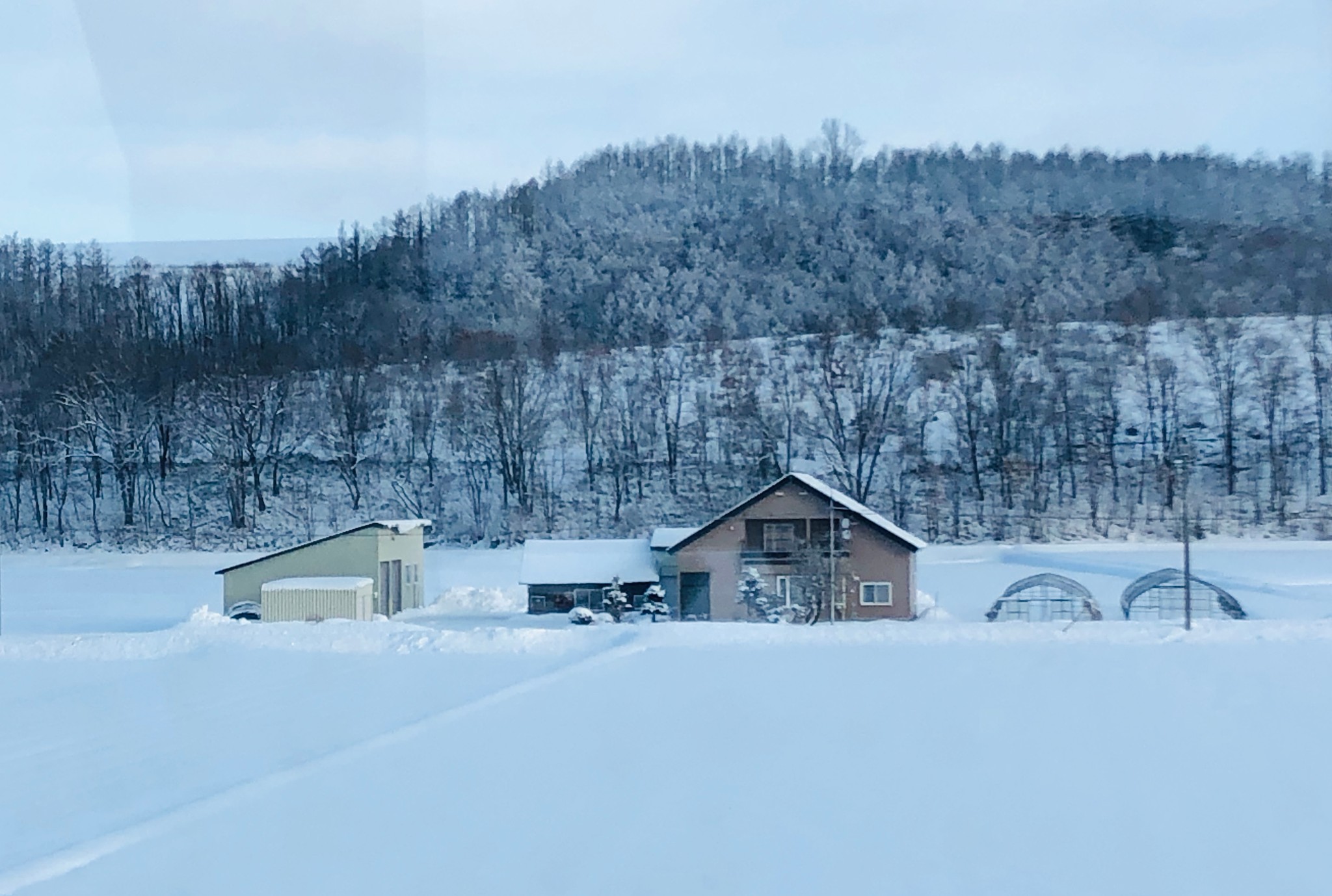 北海道自助遊攻略