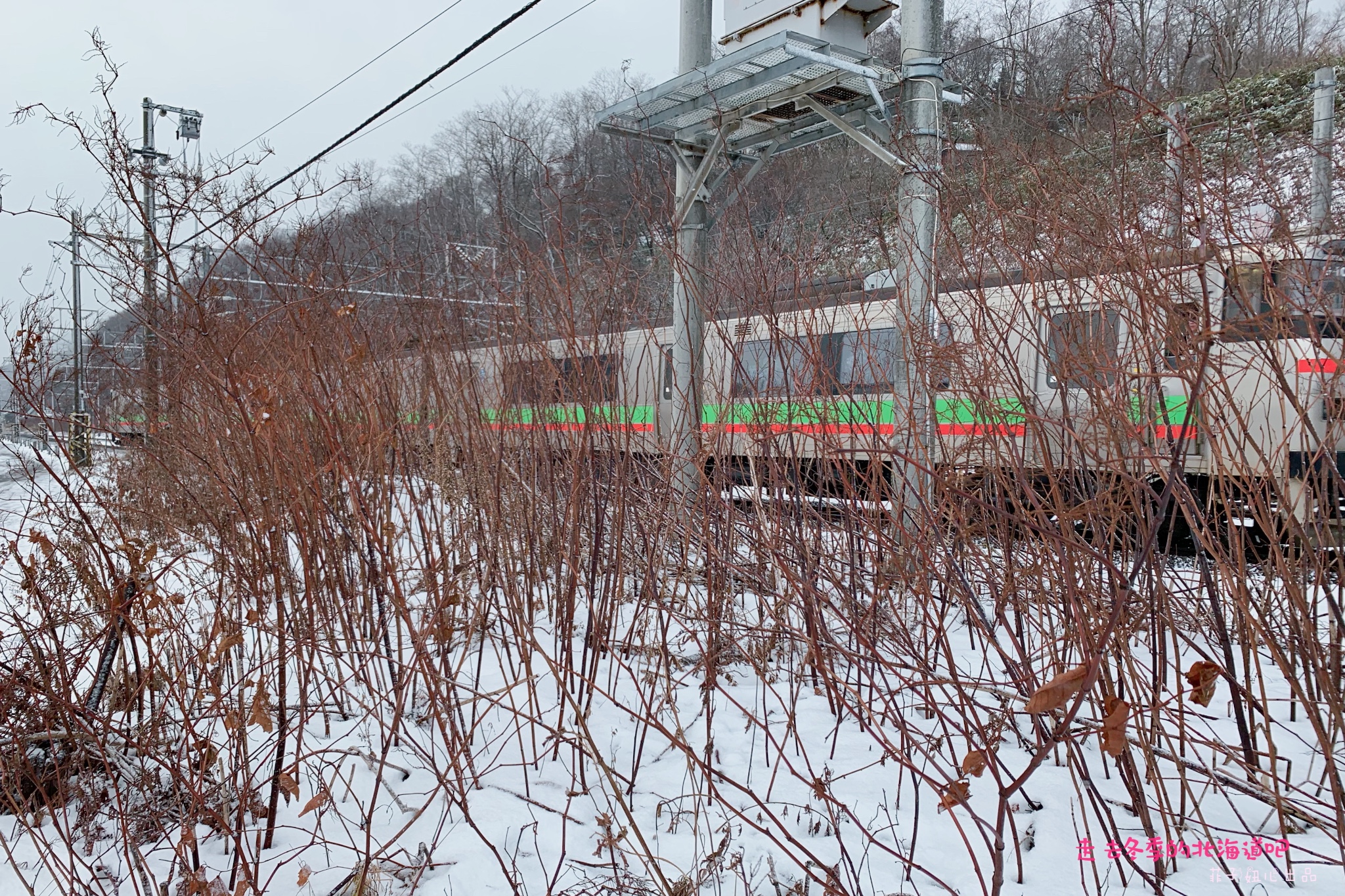 札幌自助遊攻略