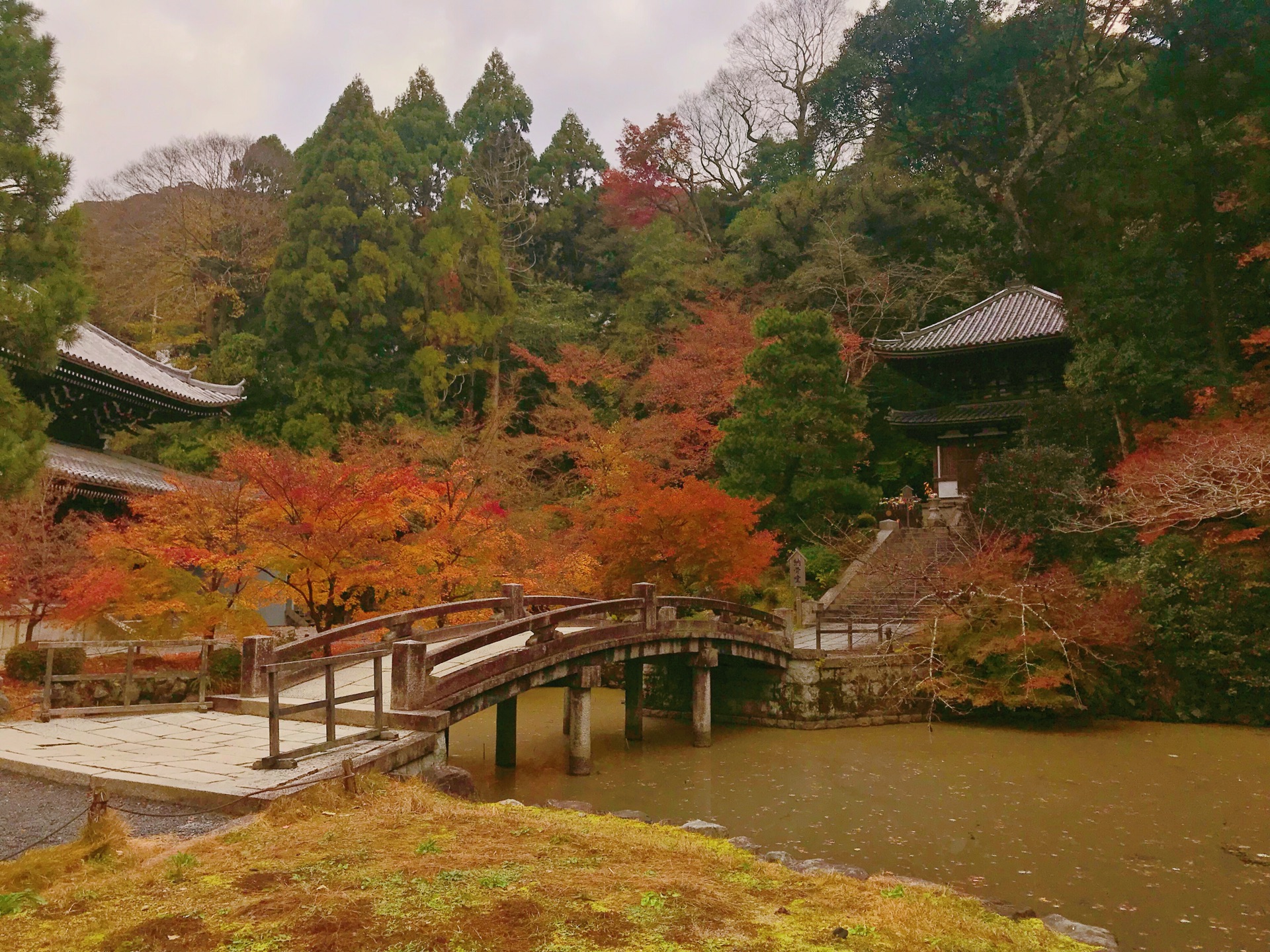 京都自助遊攻略