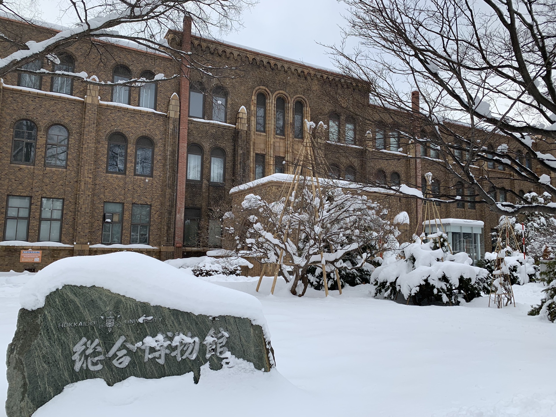 北海道自助遊攻略