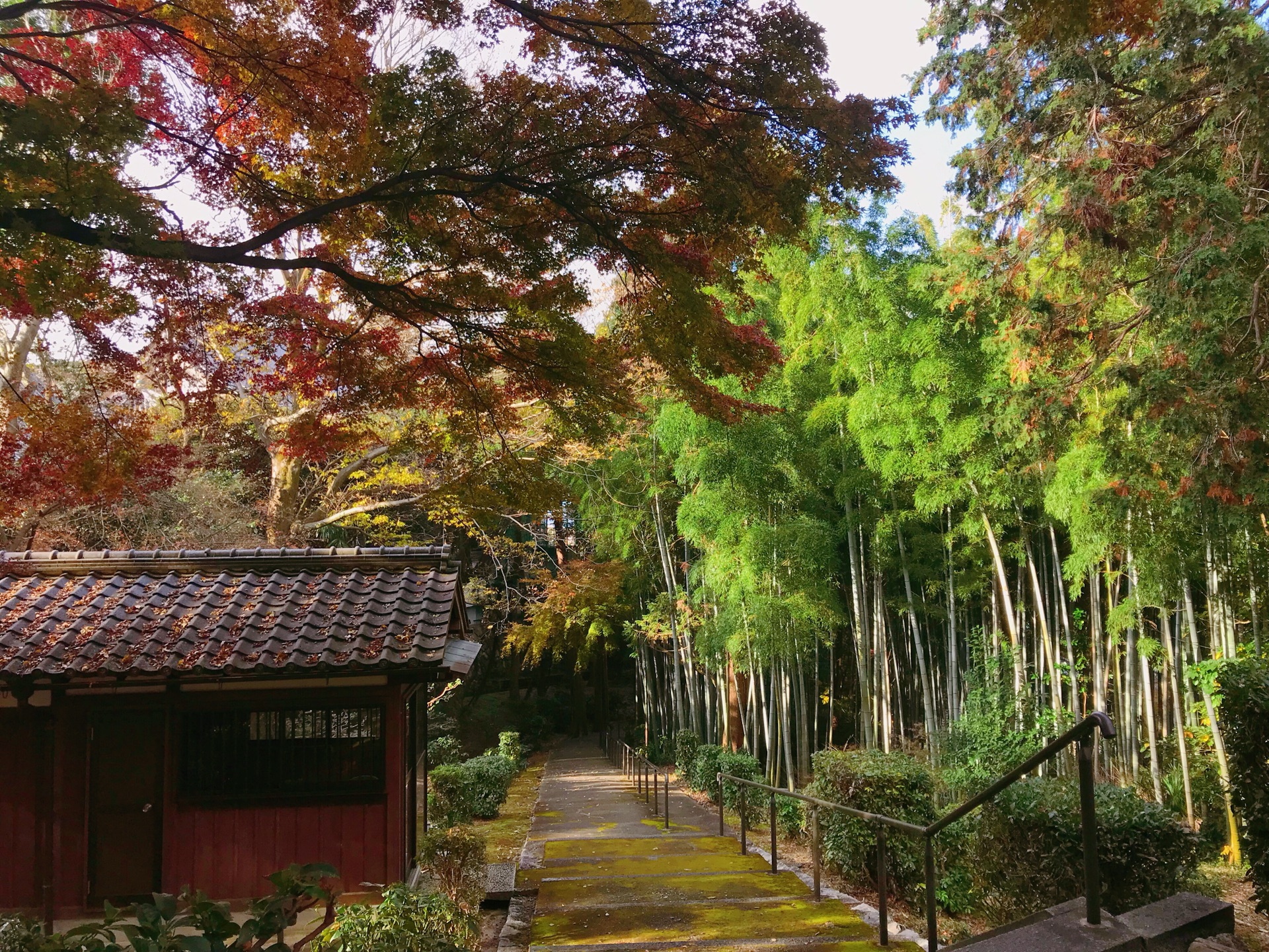 京都自助遊攻略