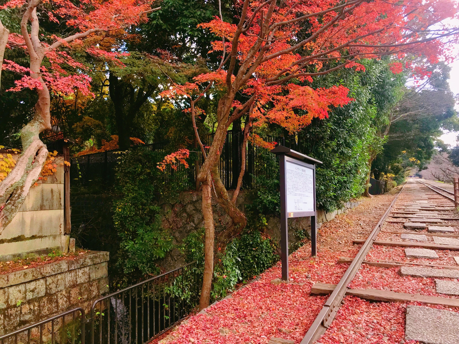 京都自助遊攻略