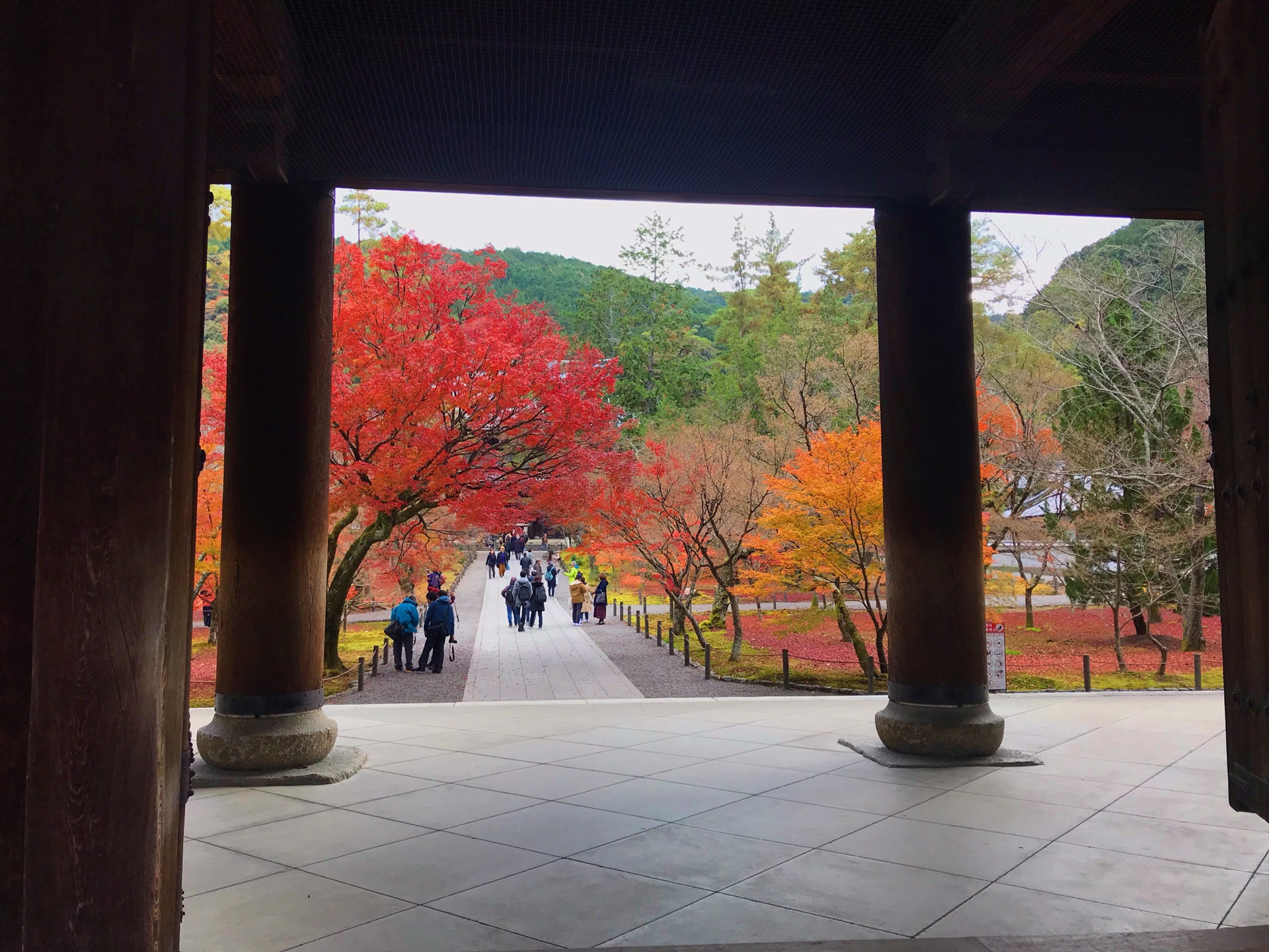 京都自助遊攻略