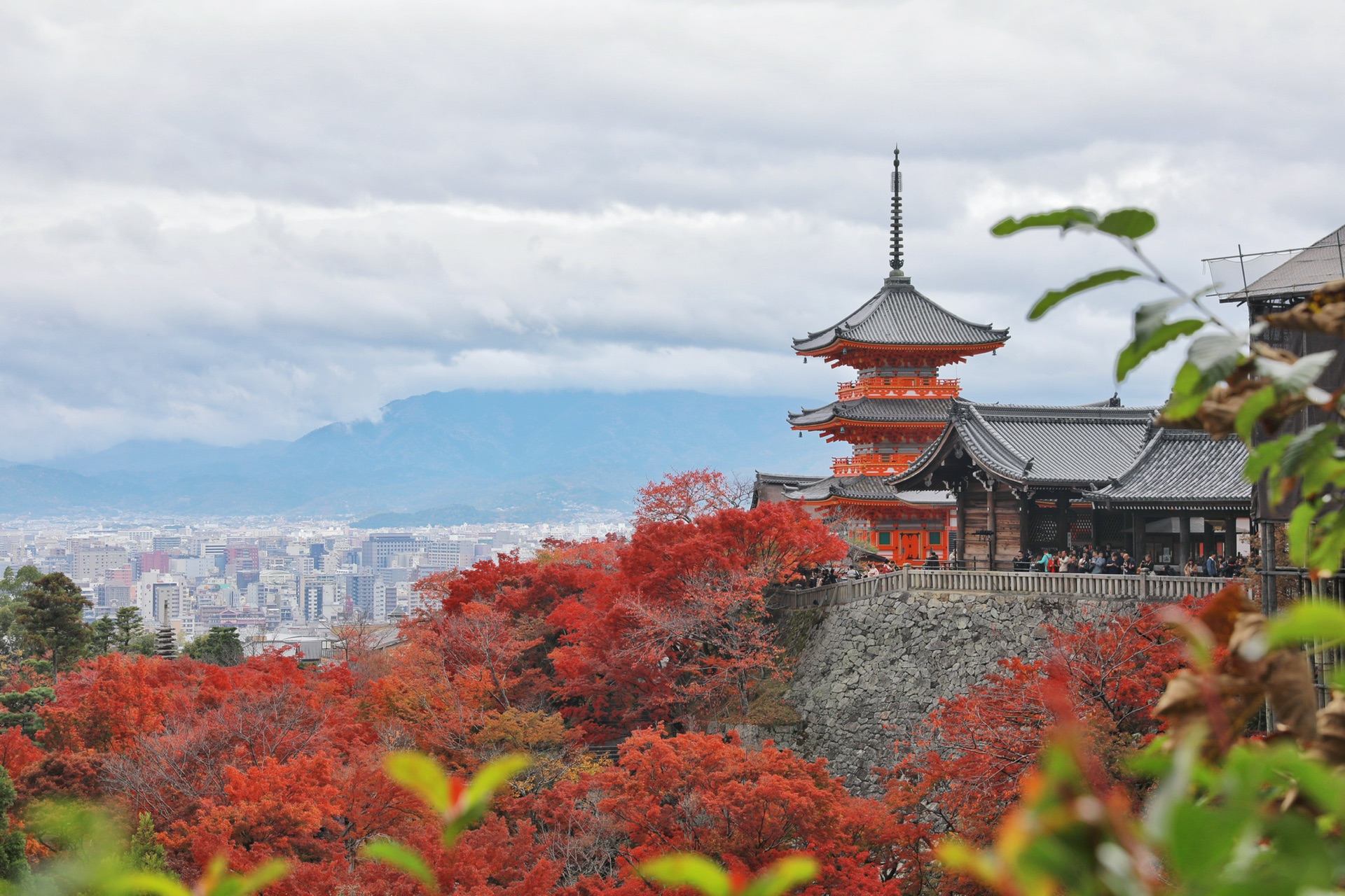 京都自助遊攻略