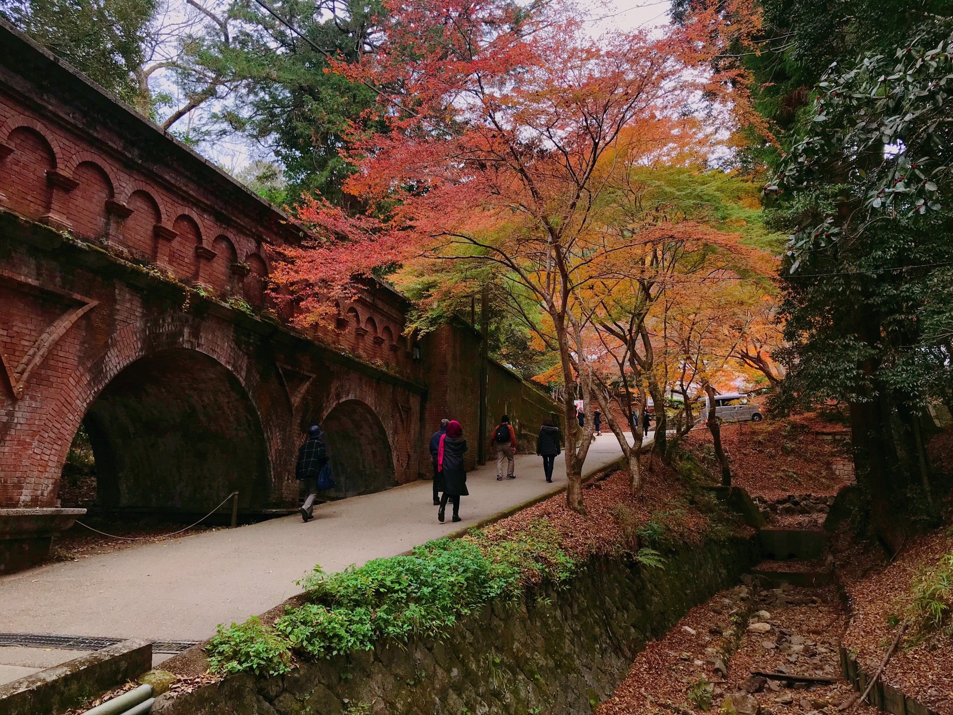 京都自助遊攻略