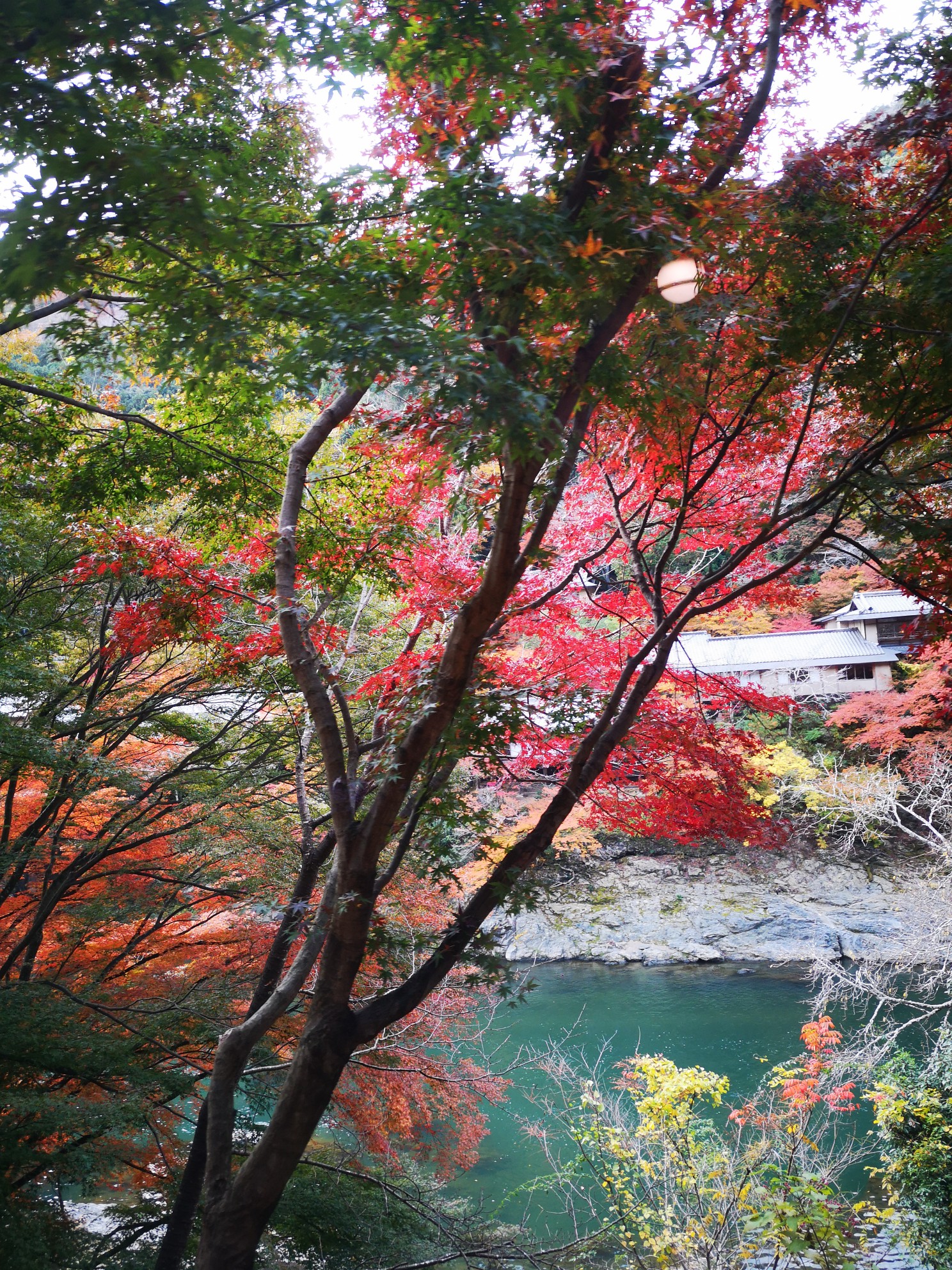 京都自助遊攻略