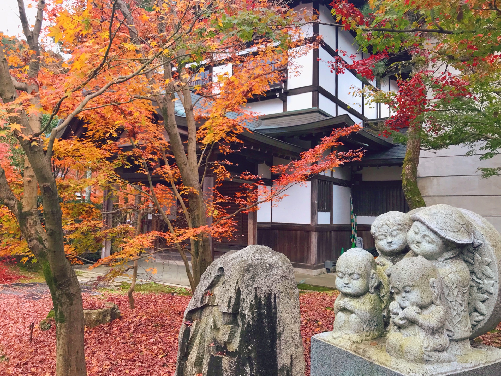 京都自助遊攻略