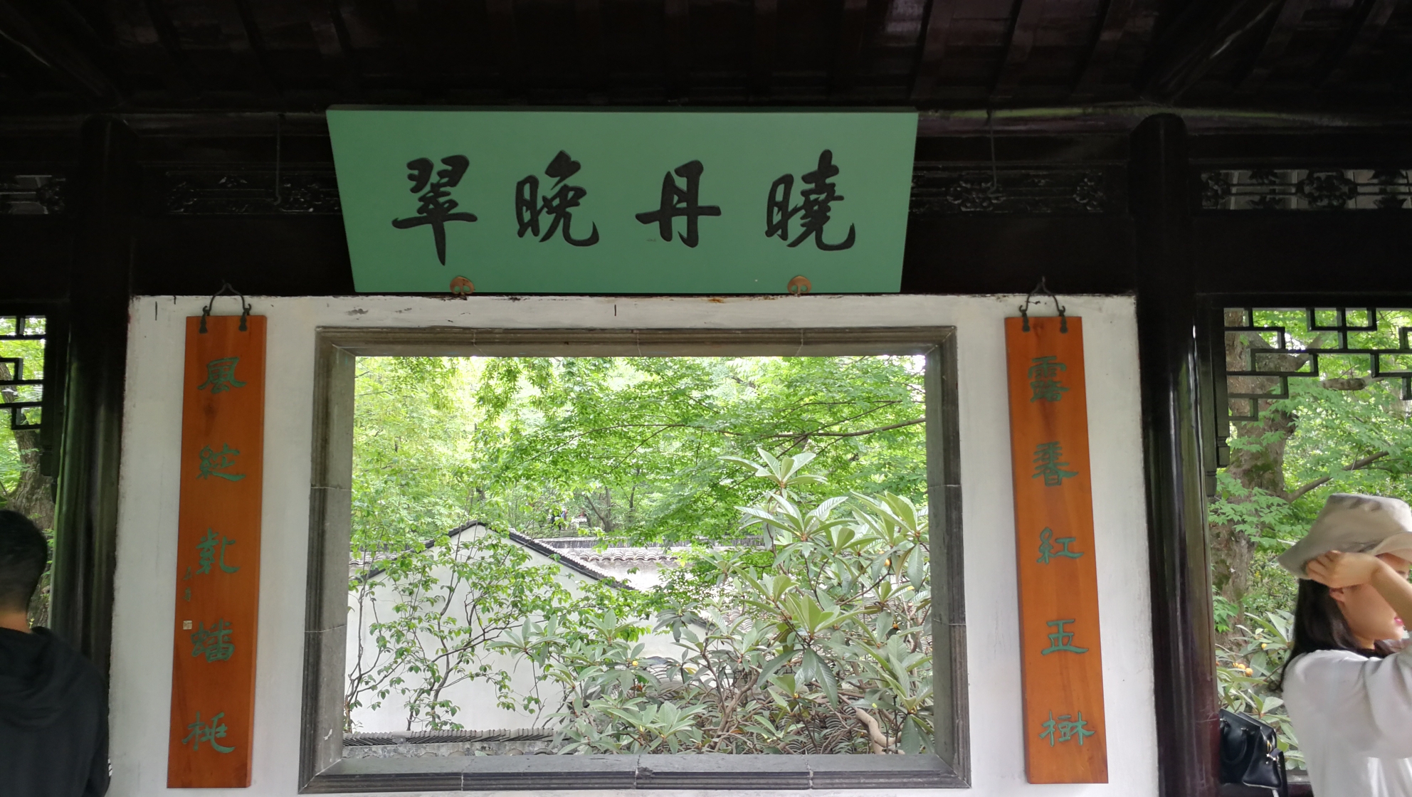 苏州印象(三)游览拙政园,狮子林,体验苏州园林之美