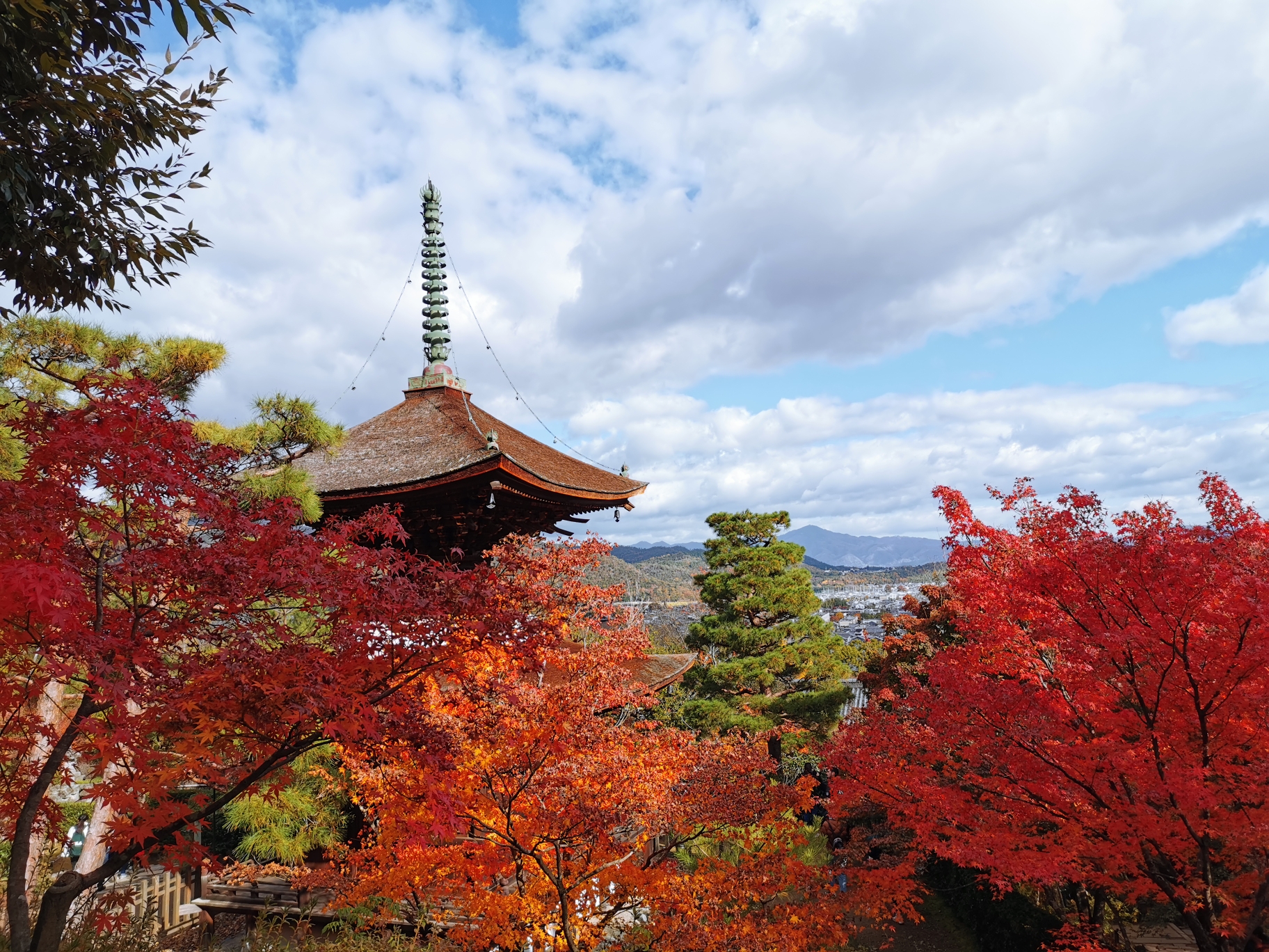 京都自助遊攻略