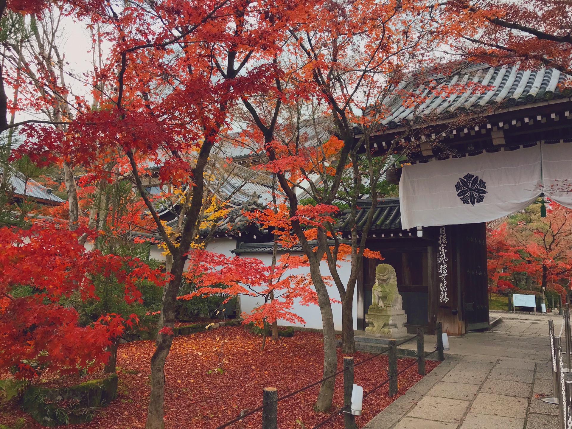 京都自助遊攻略