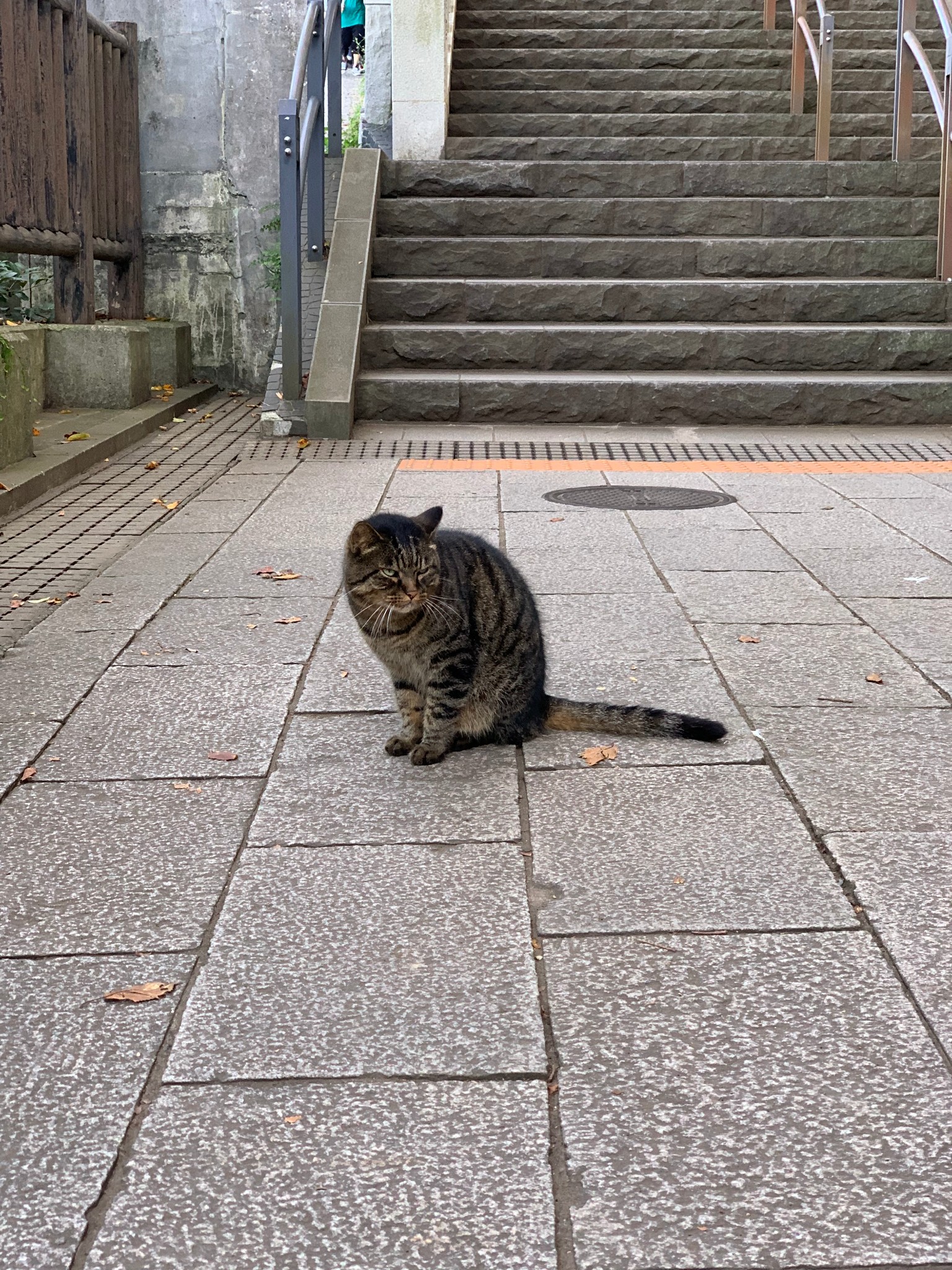 東京自助遊攻略