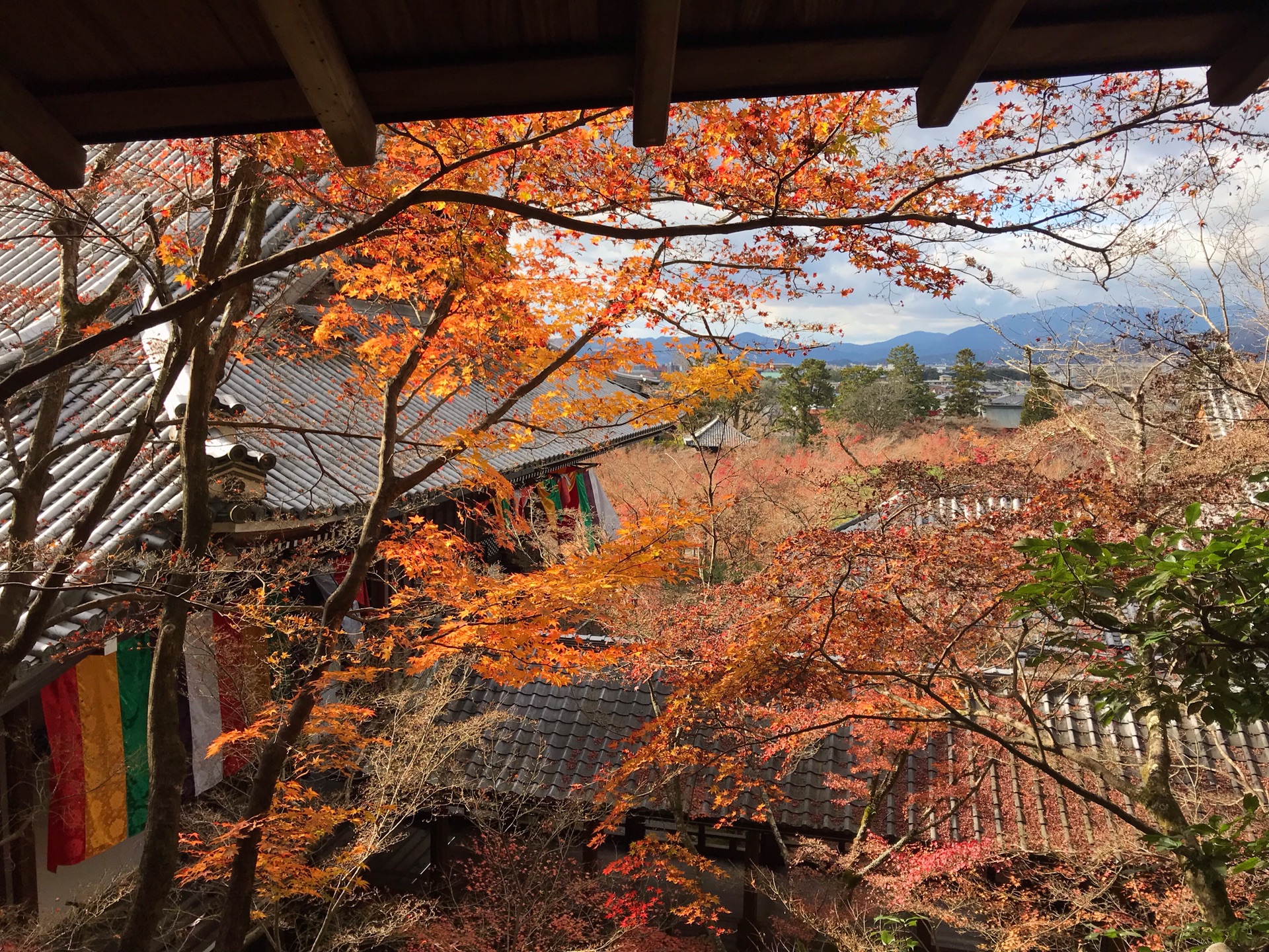 京都自助遊攻略