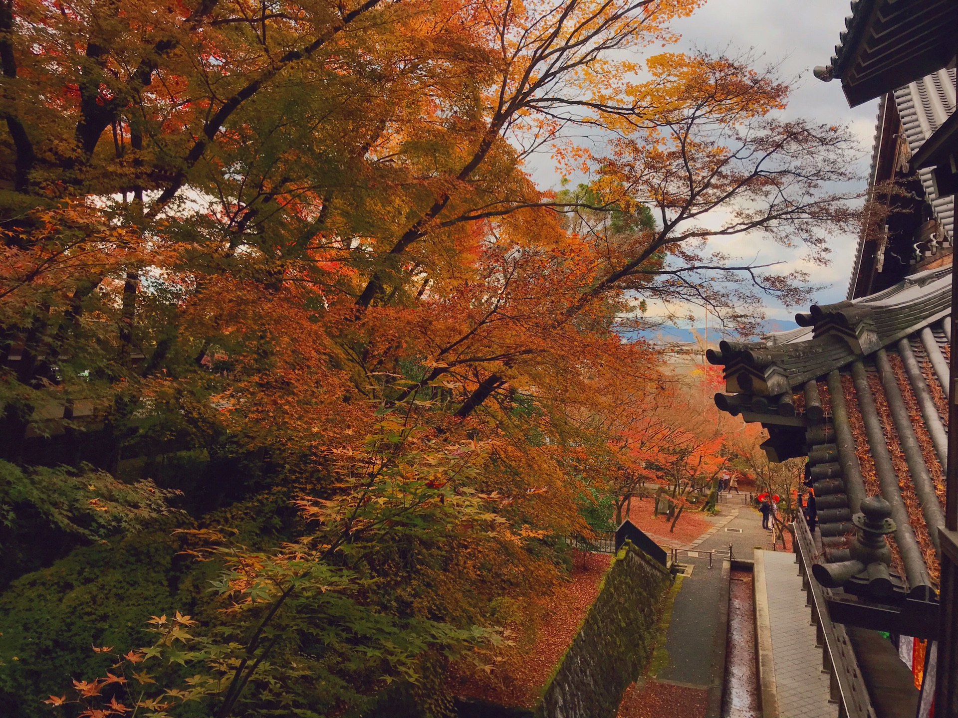 京都自助遊攻略