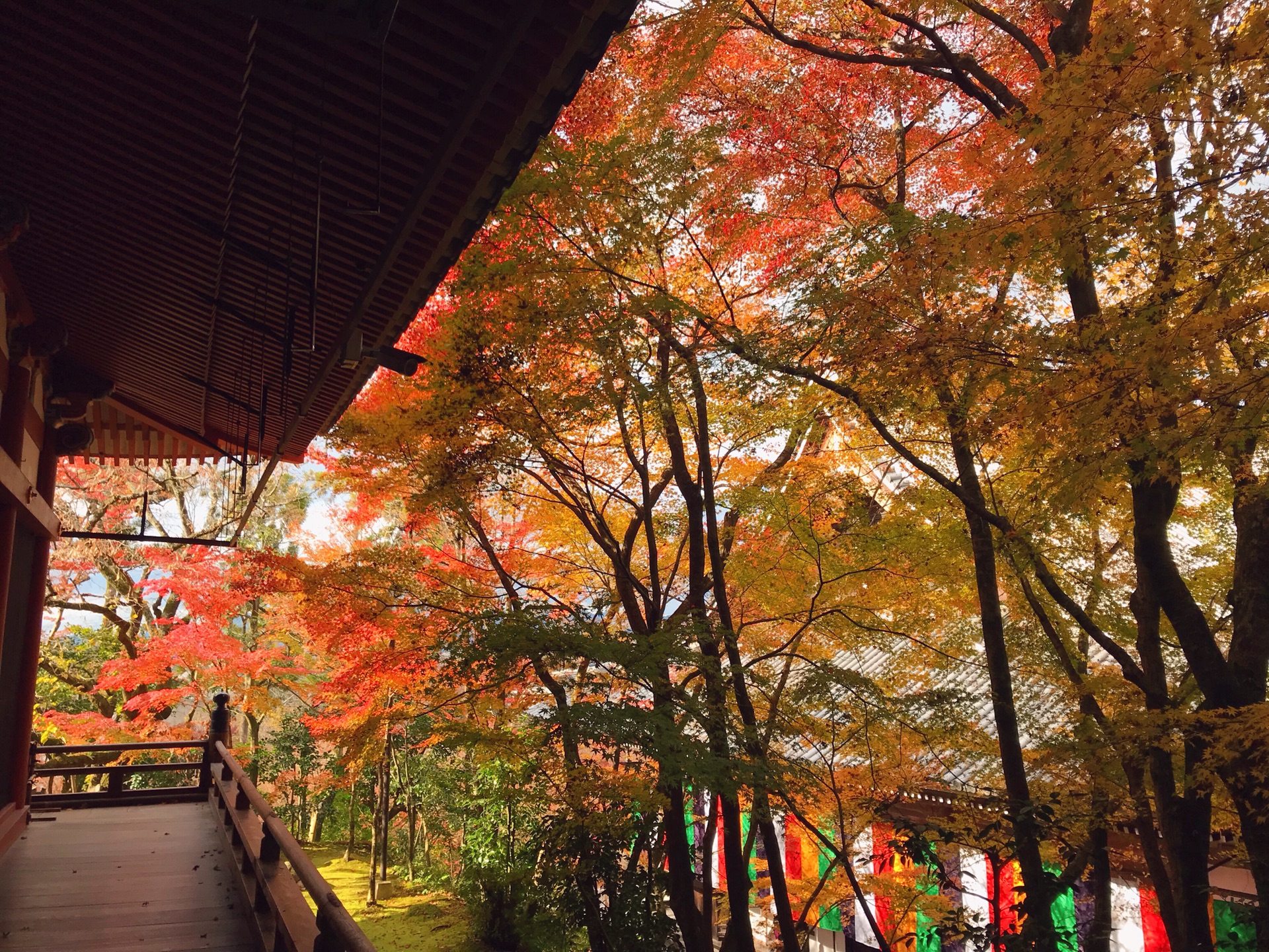 京都自助遊攻略