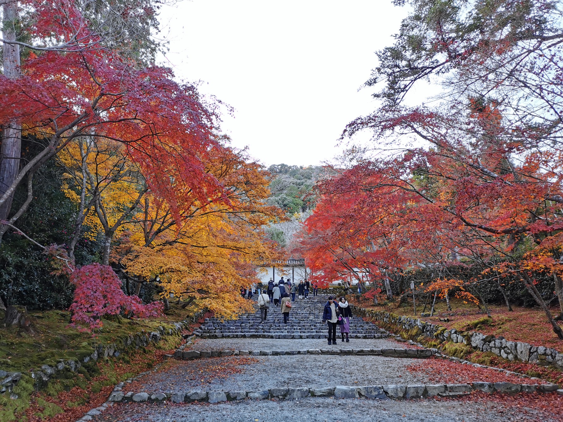 京都自助遊攻略