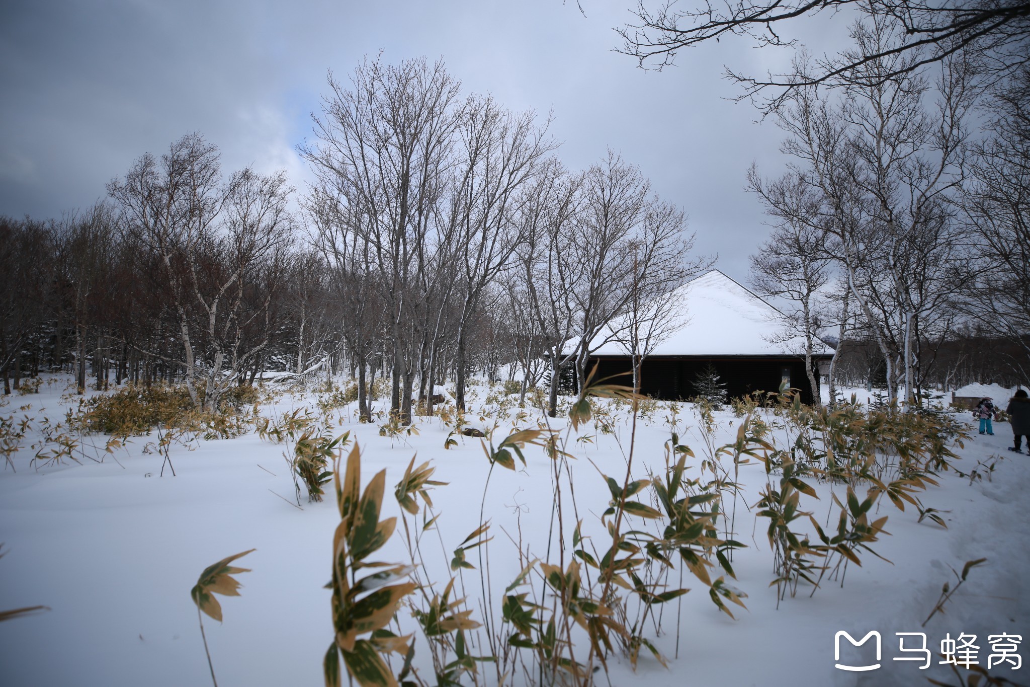 北海道自助遊攻略