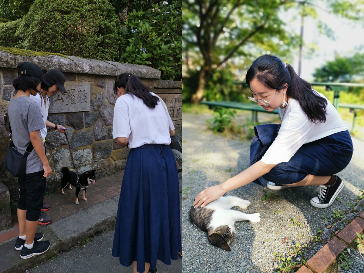 東京自助遊攻略