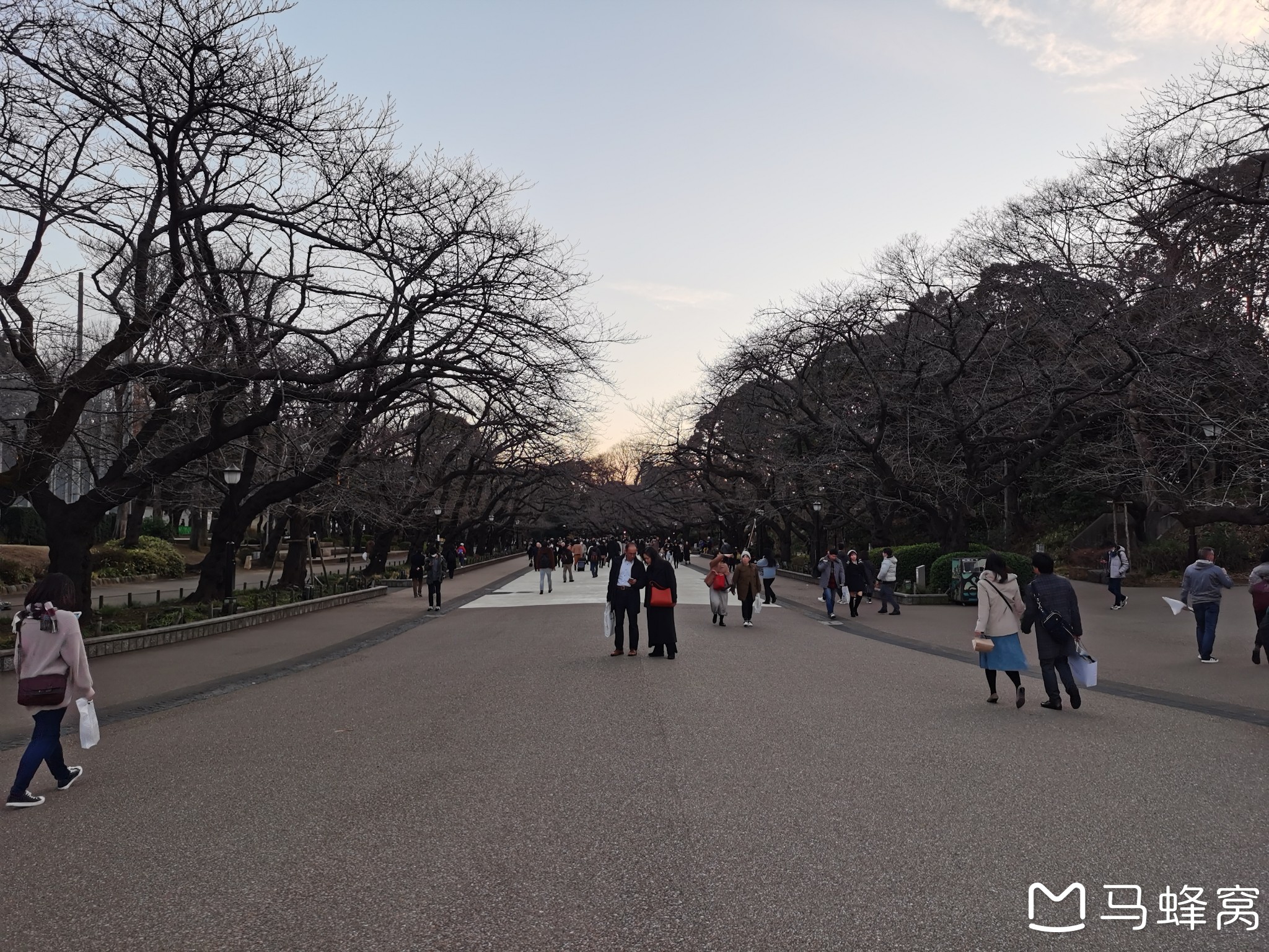 東京自助遊攻略