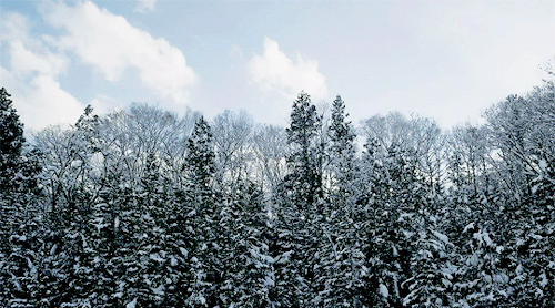 500_278gif 动态图 动图