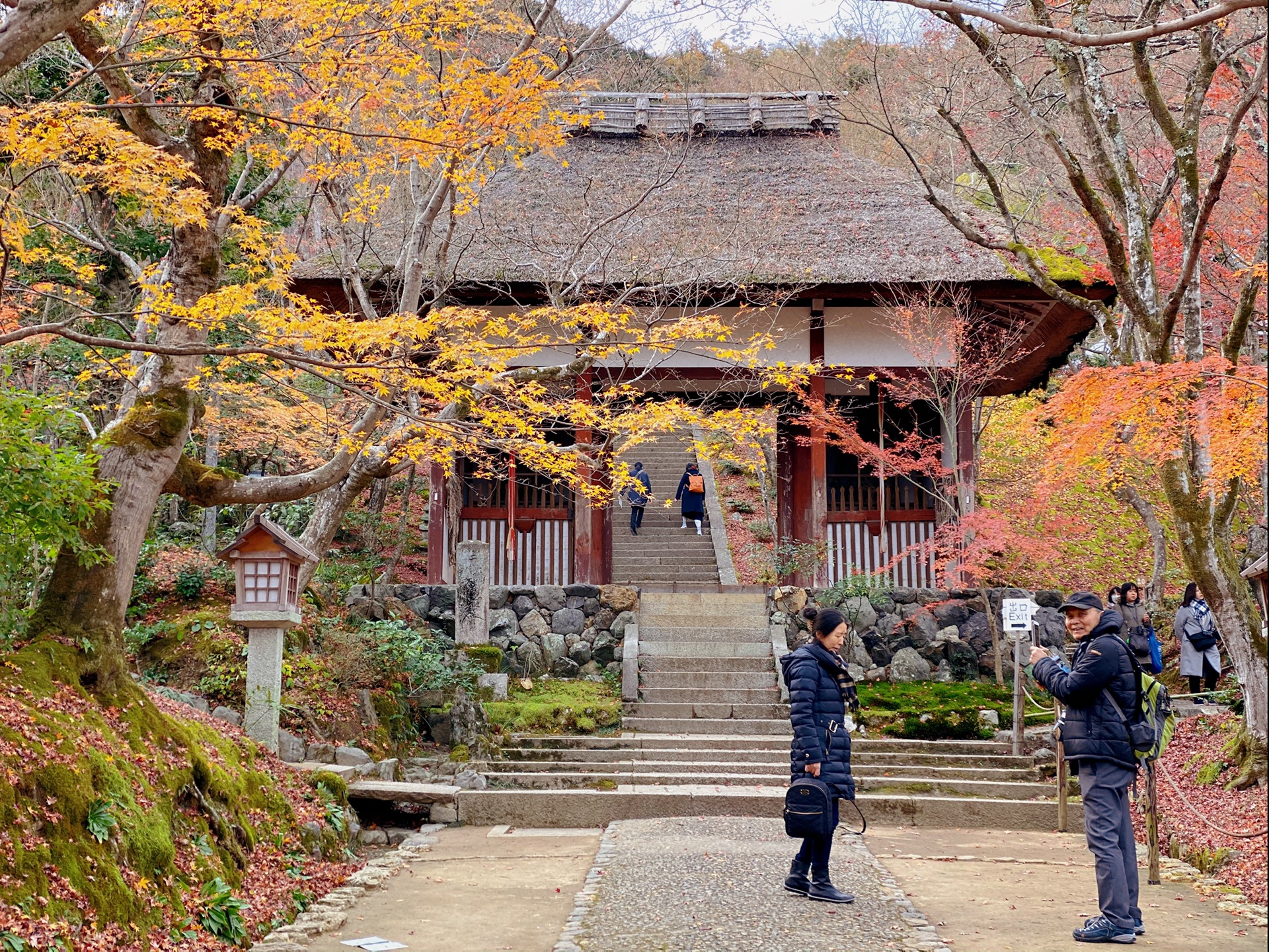 京都自助遊攻略