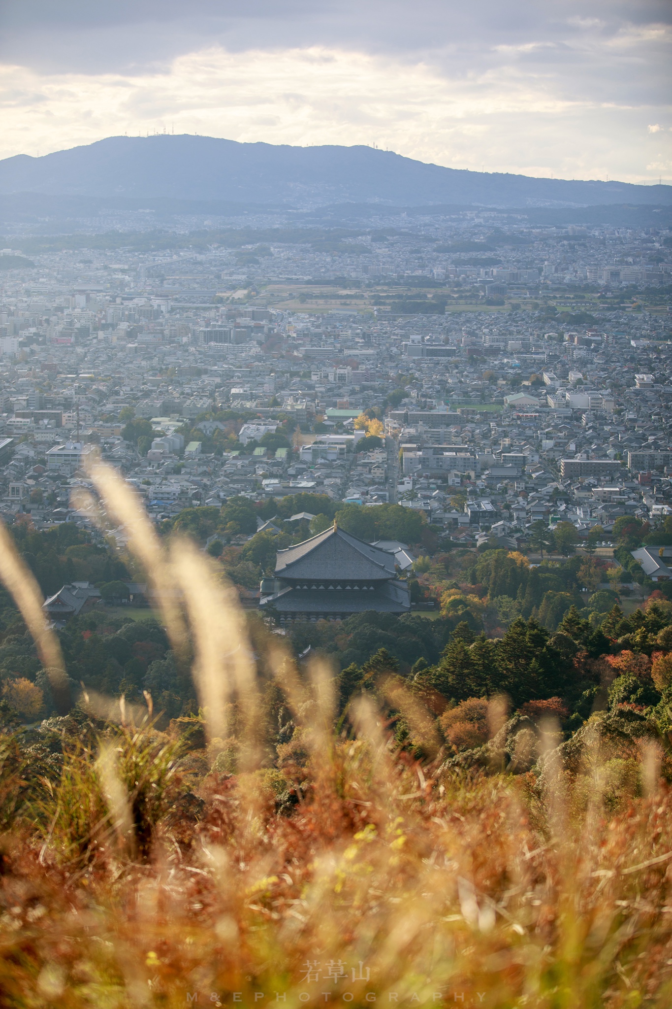 京都自助遊攻略