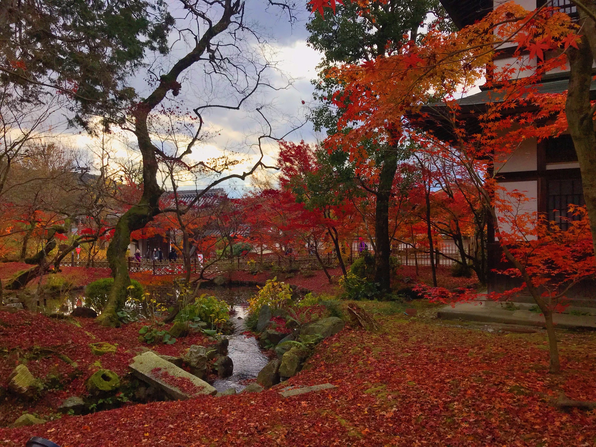 京都自助遊攻略