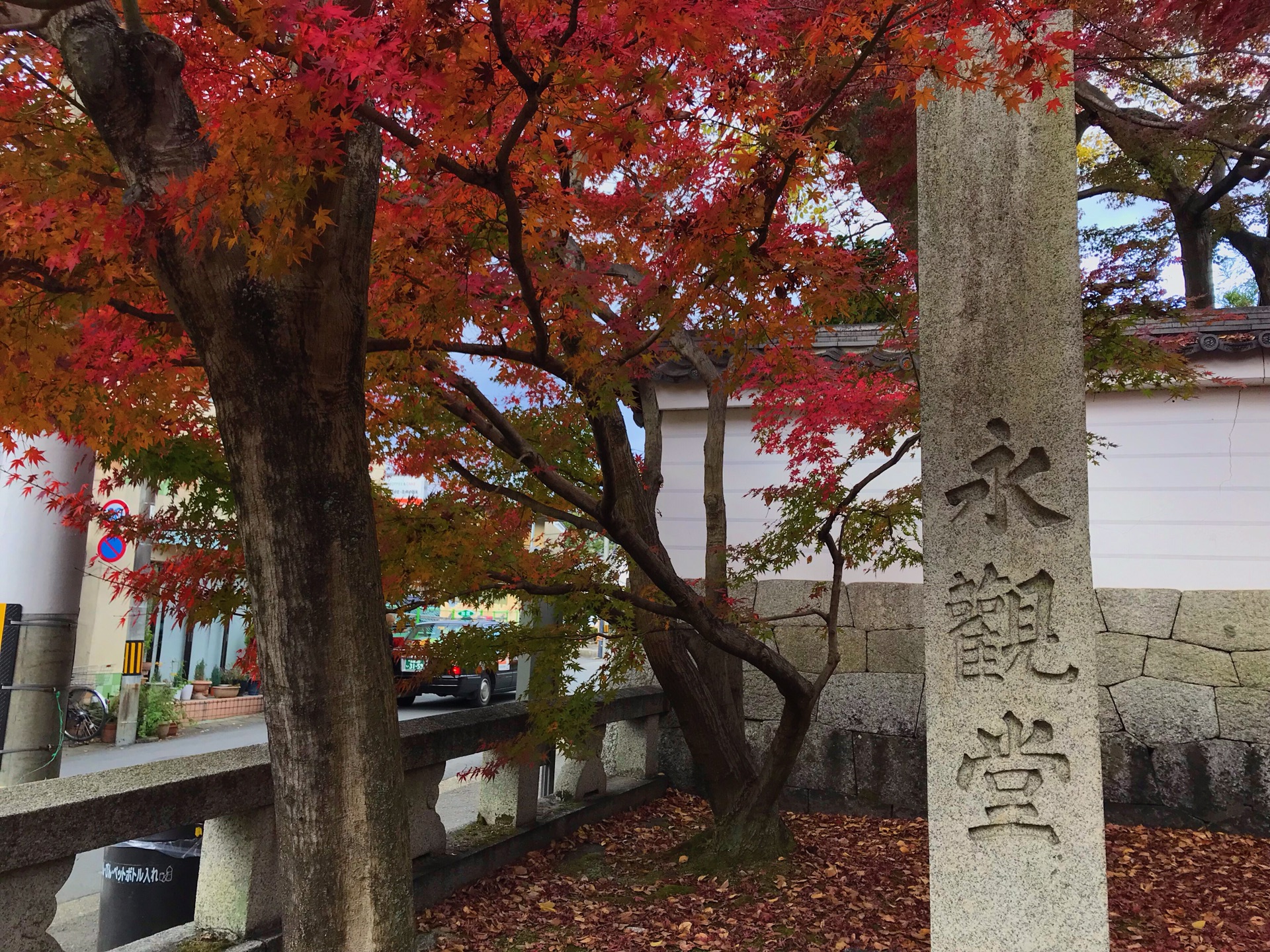 京都自助遊攻略