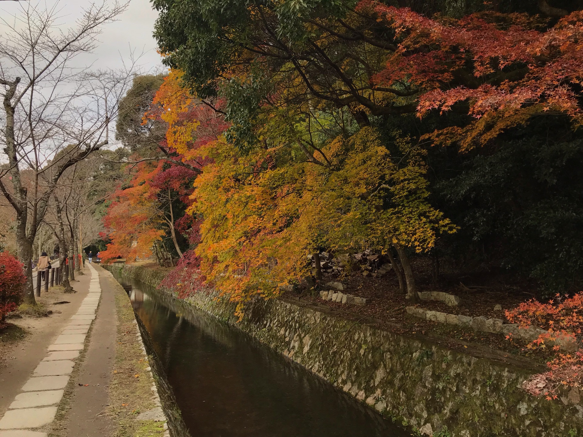 京都自助遊攻略