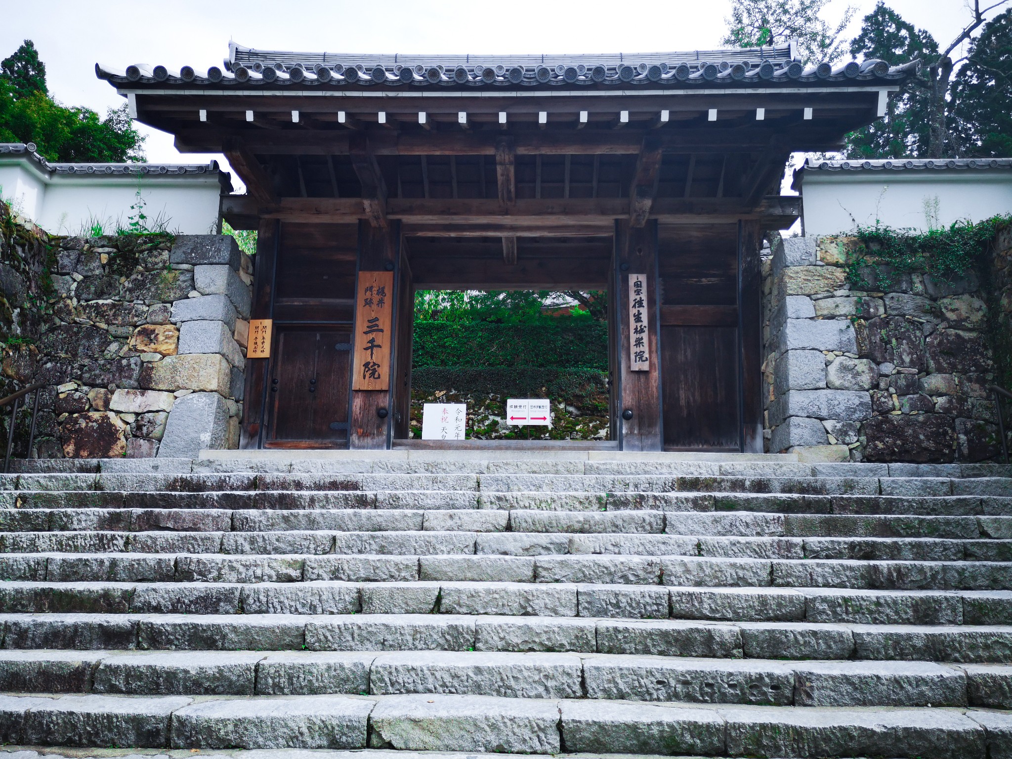 京都自助遊攻略