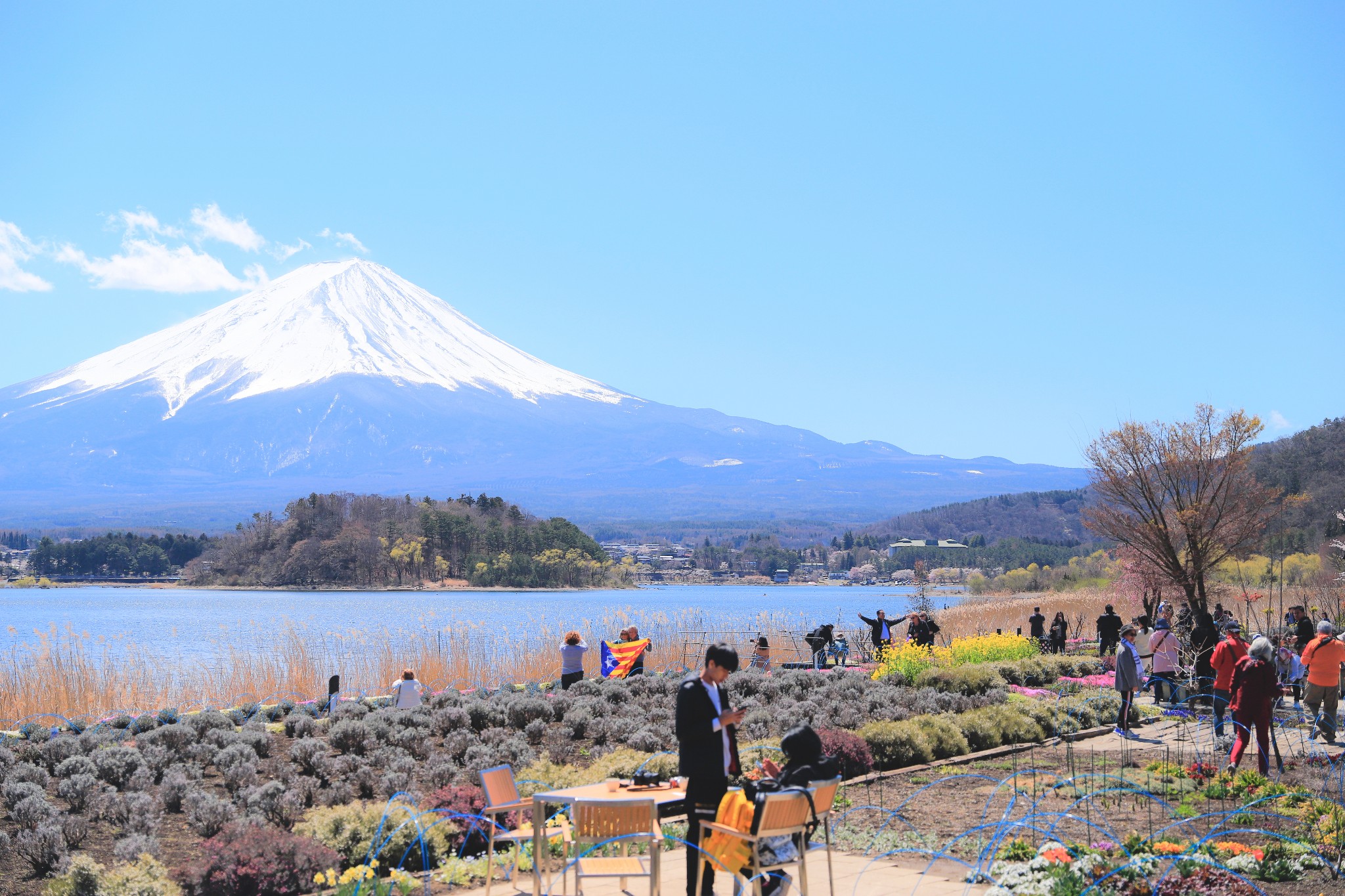 富士山自助遊攻略