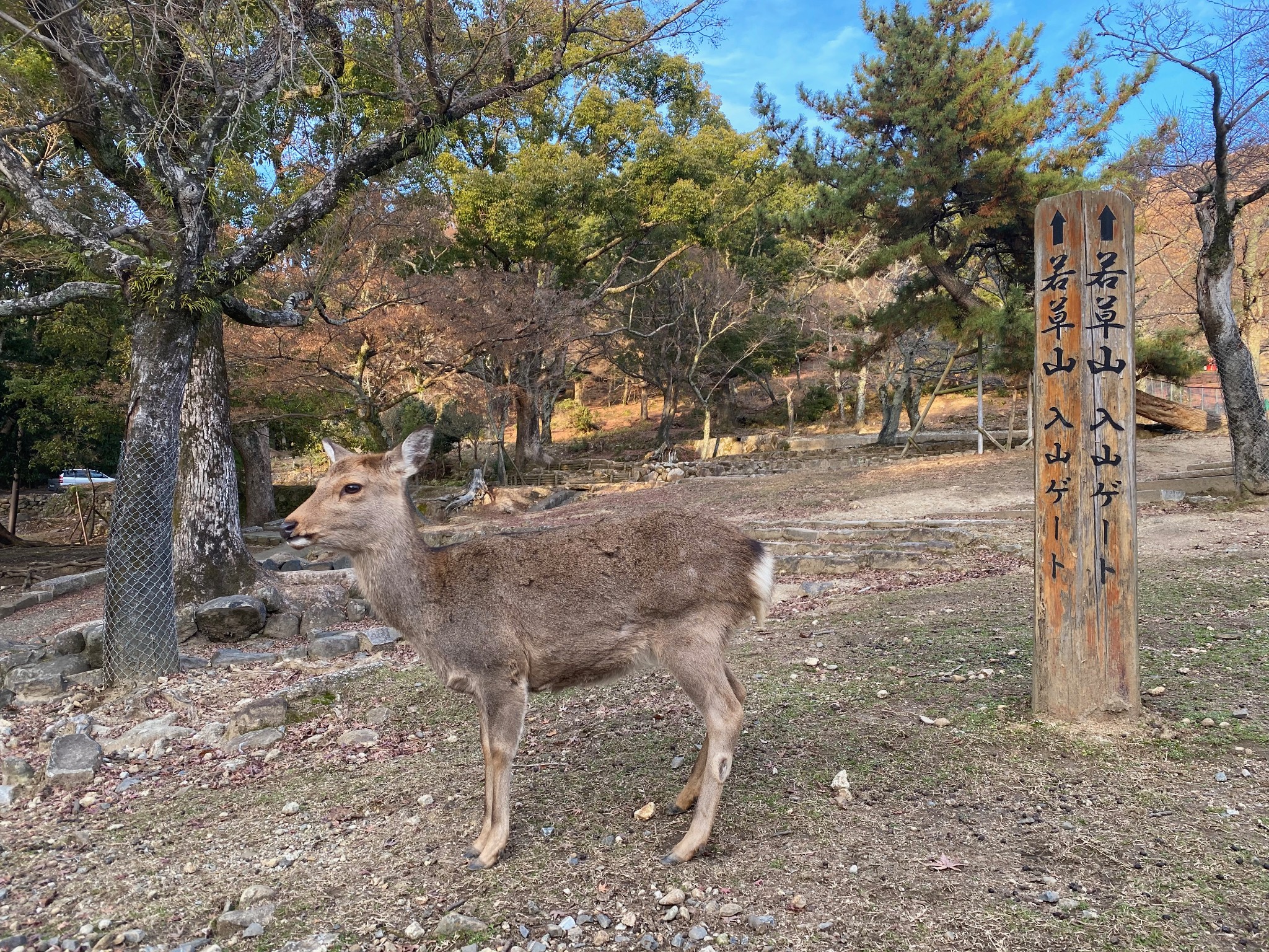 大阪自助遊攻略