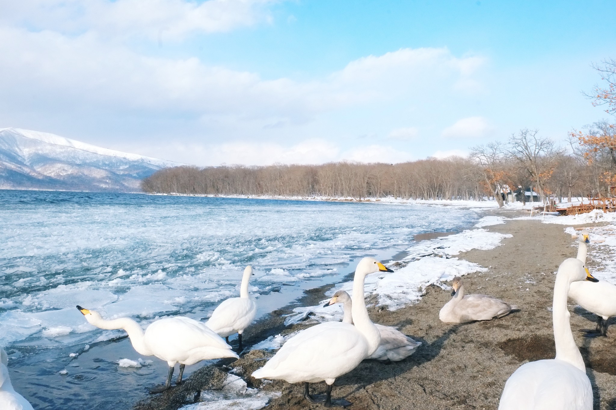 北海道自助遊攻略