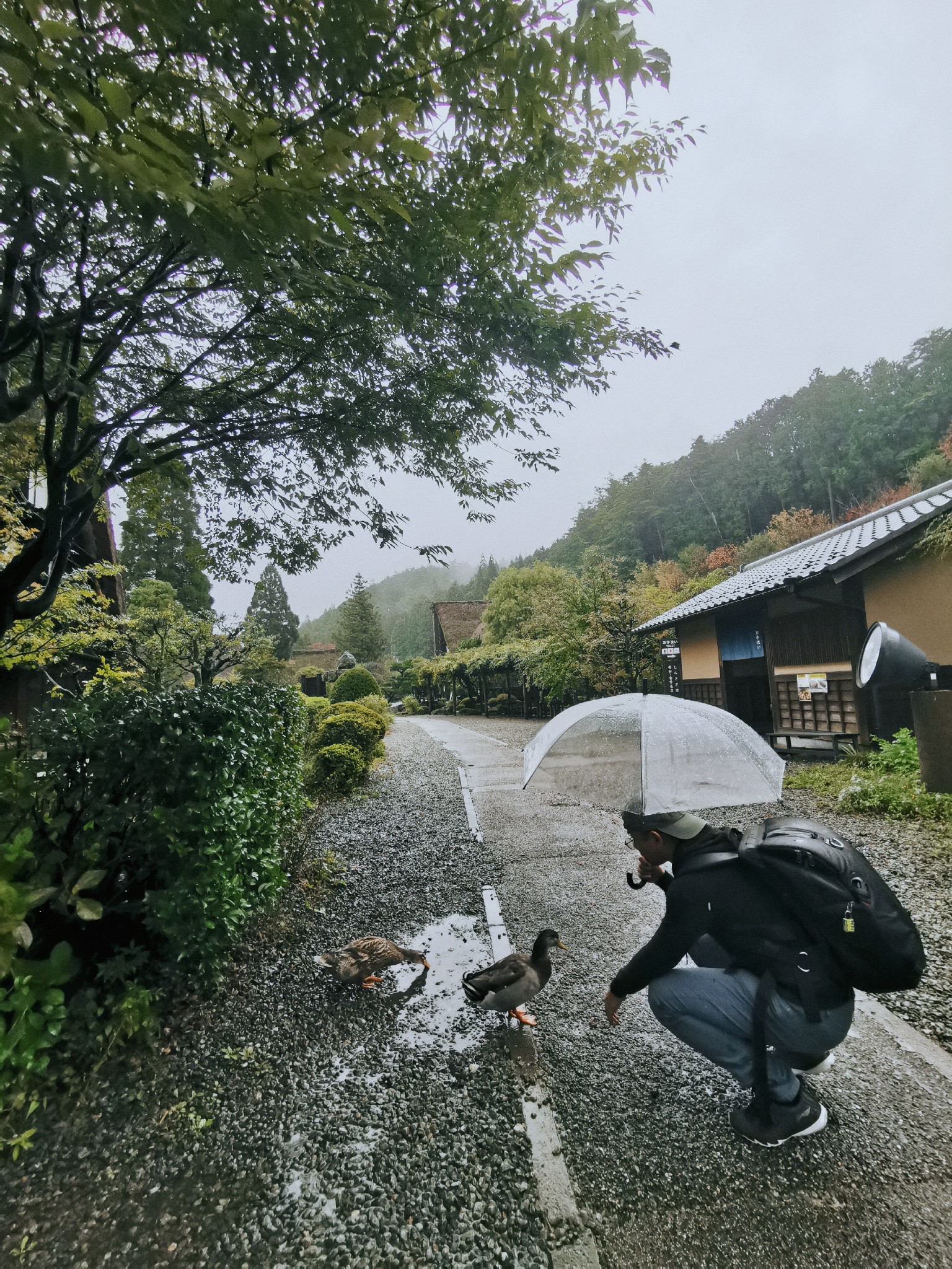 名古屋自助遊攻略