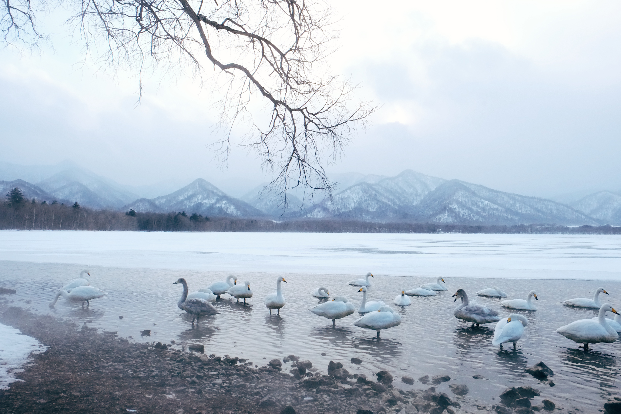 北海道自助遊攻略