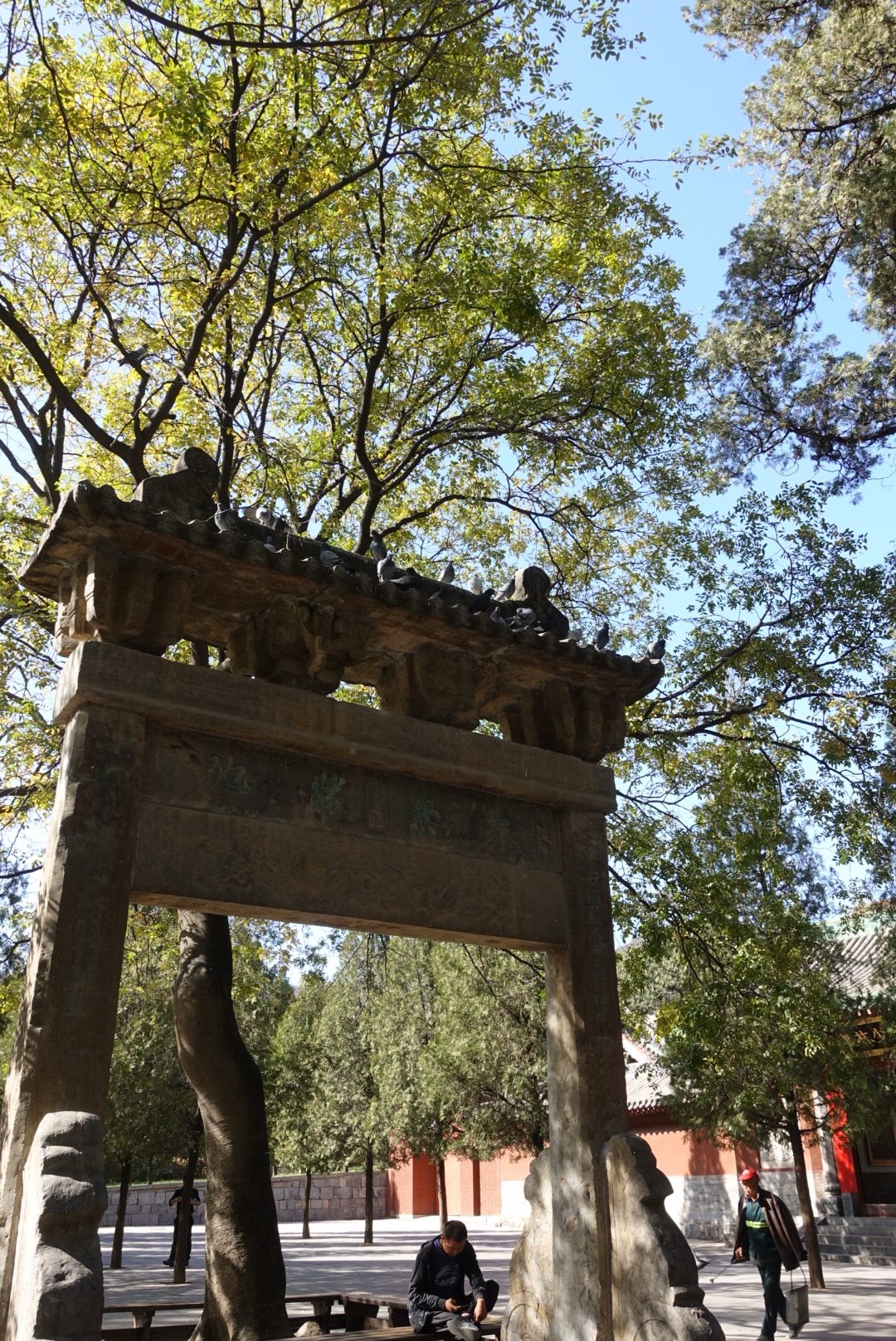 郑州嵩山少室山少林寺3日游