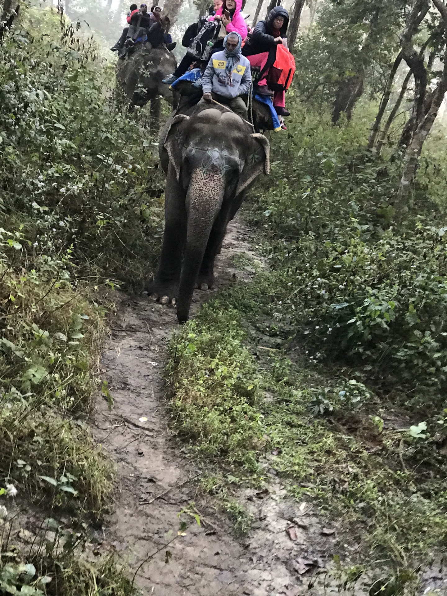 尼泊爾自助遊攻略