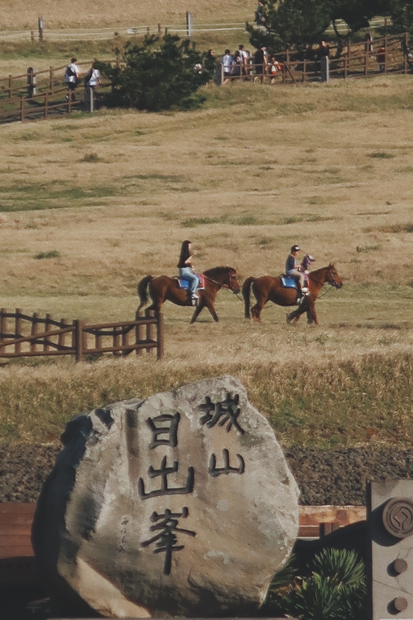 濟州島自助遊攻略