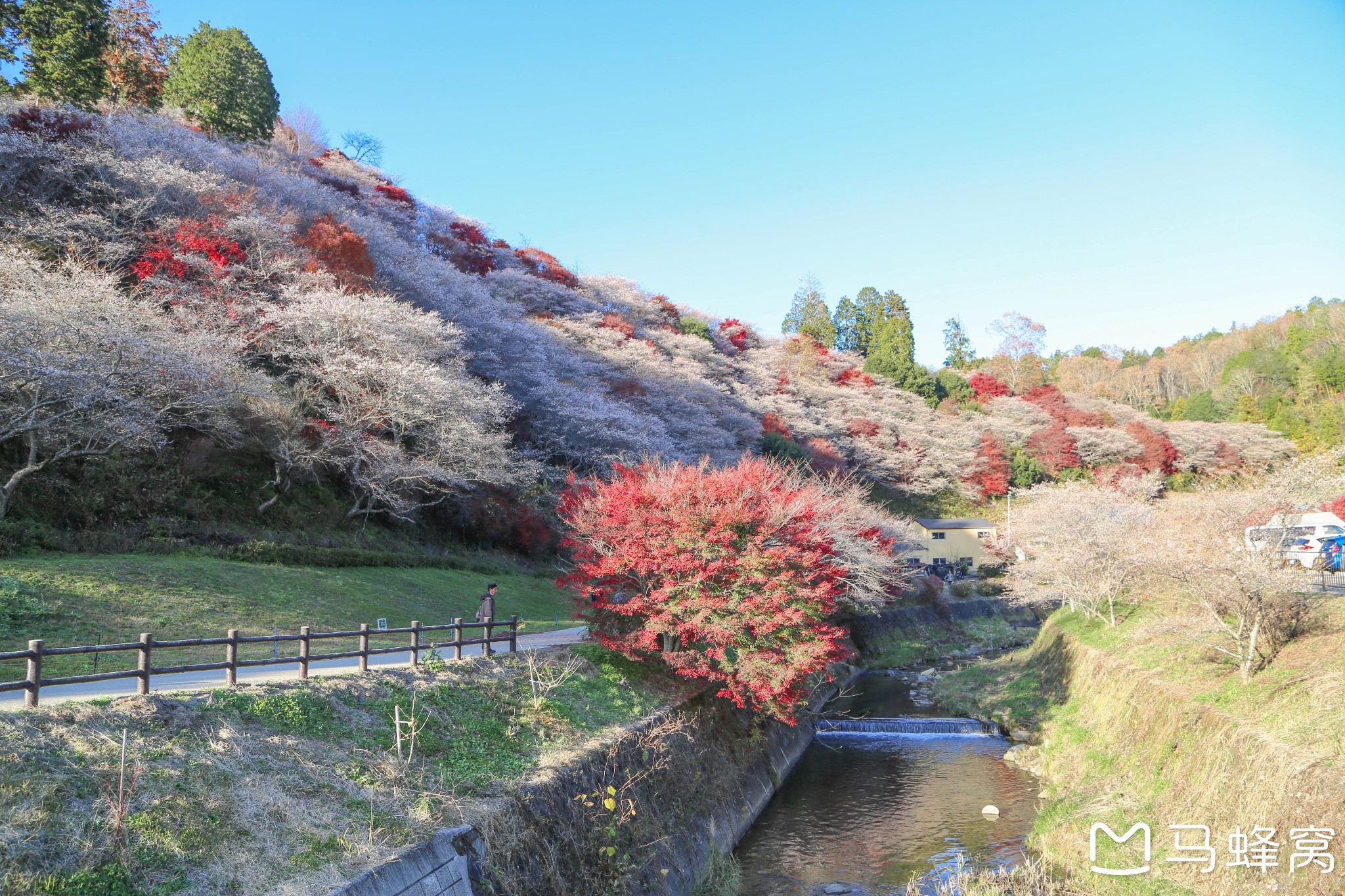 名古屋自助遊攻略