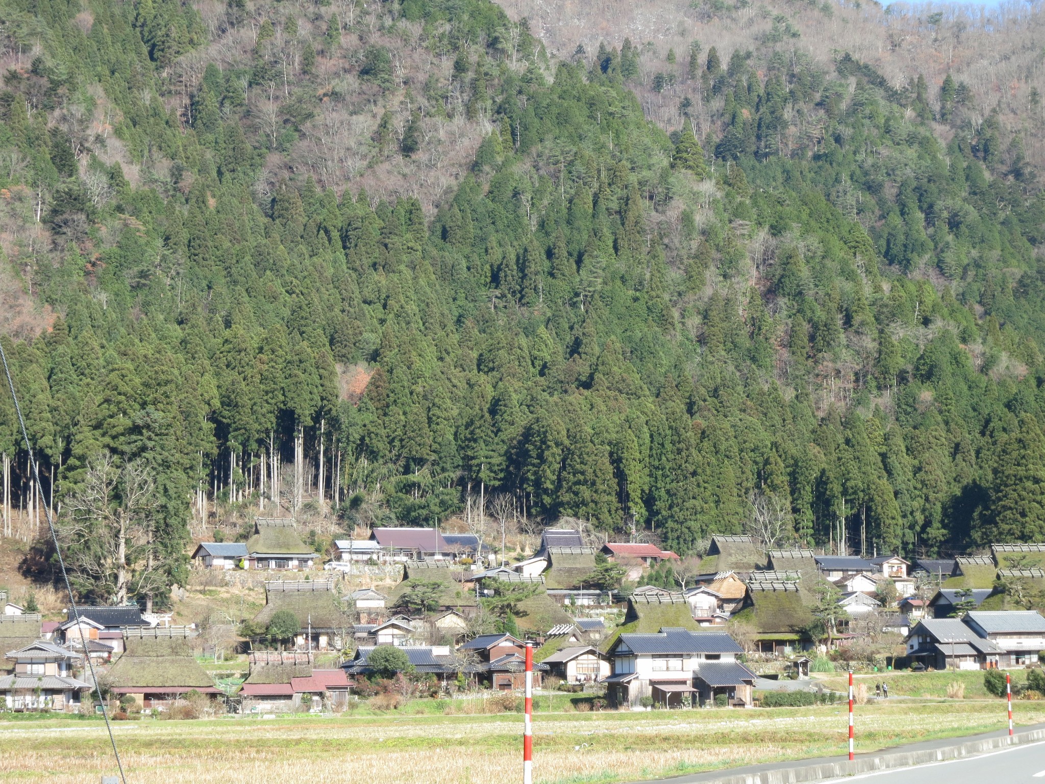 京都自助遊攻略