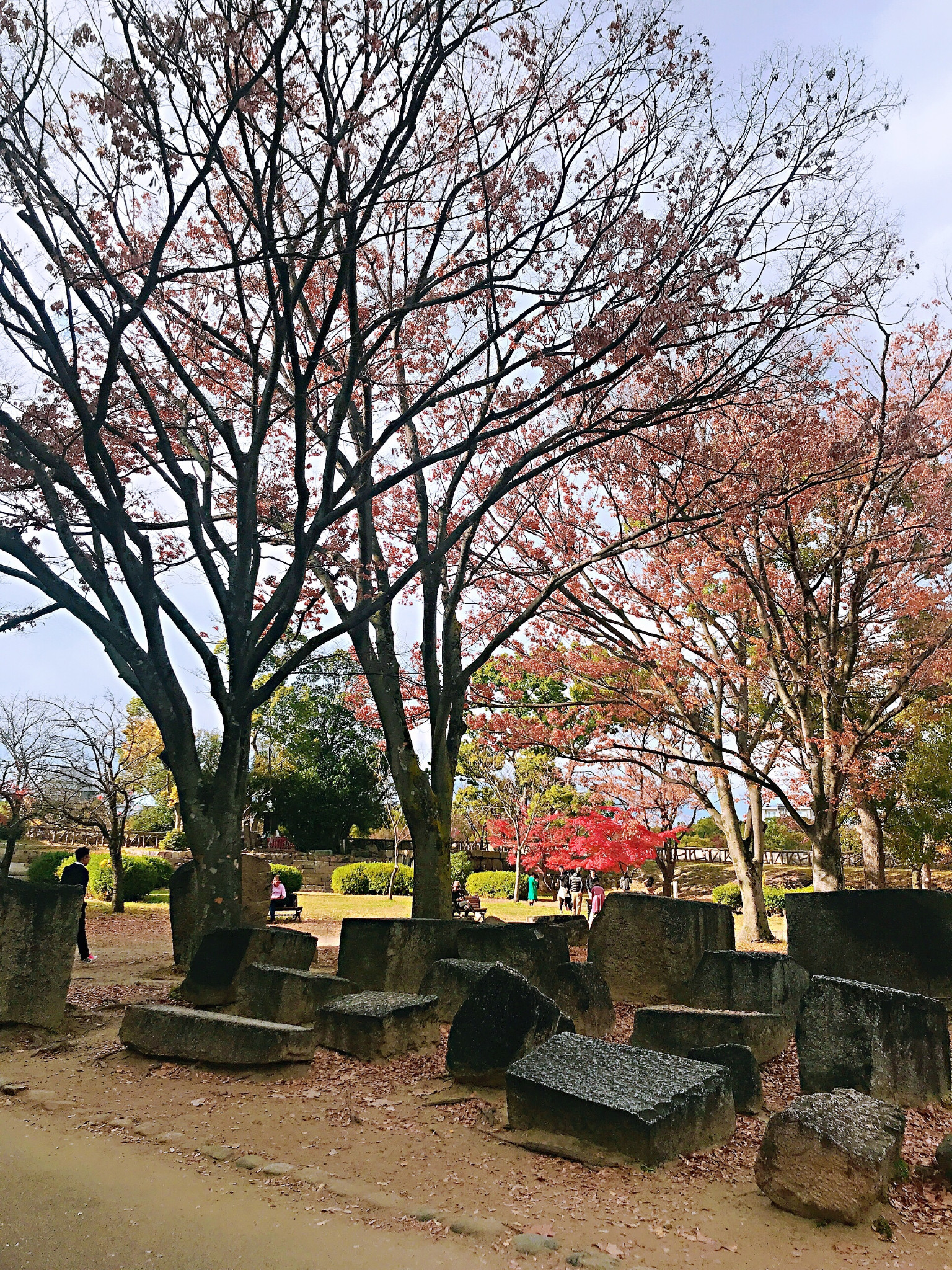 京都自助遊攻略