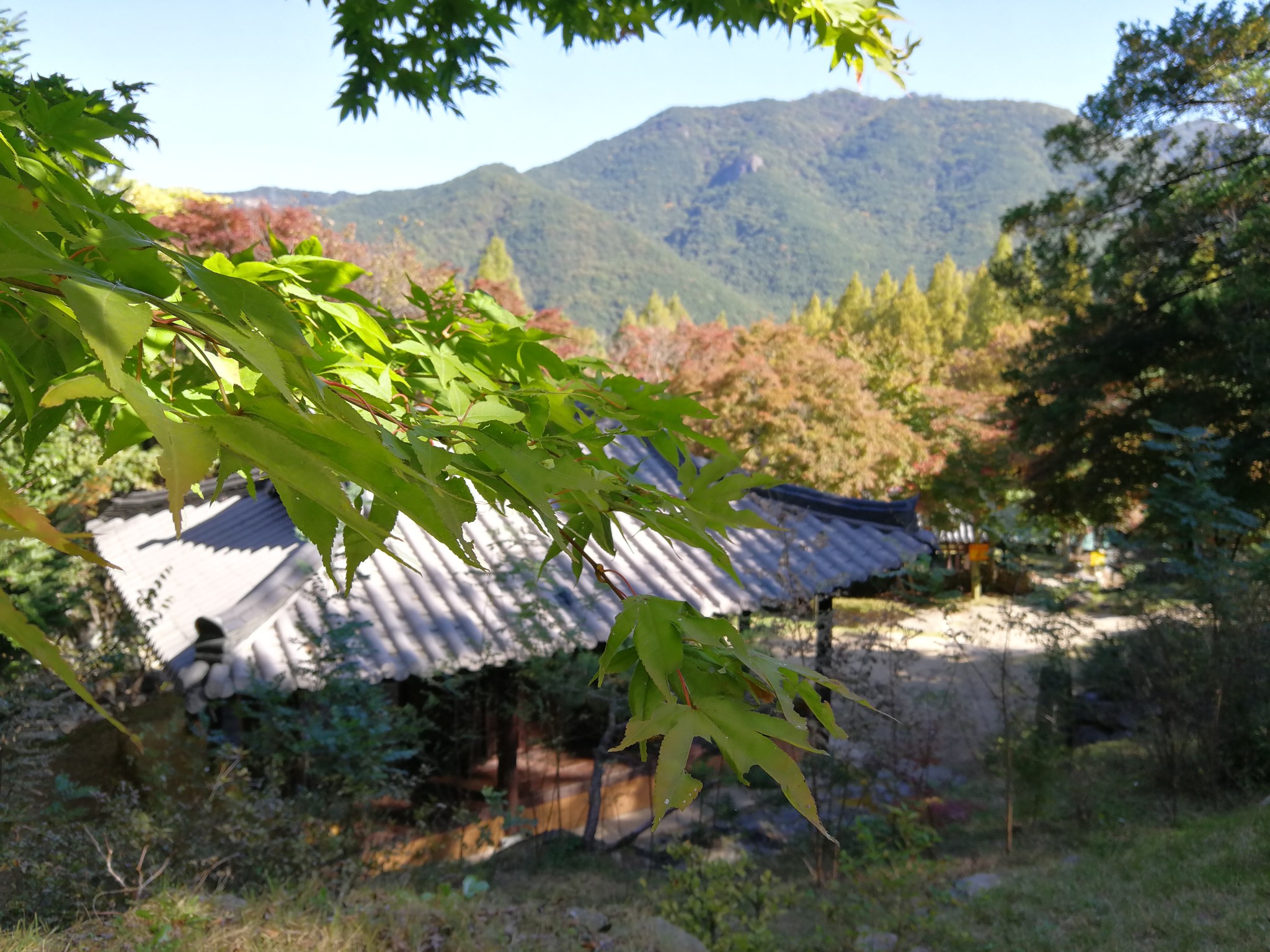 釜山自助遊攻略