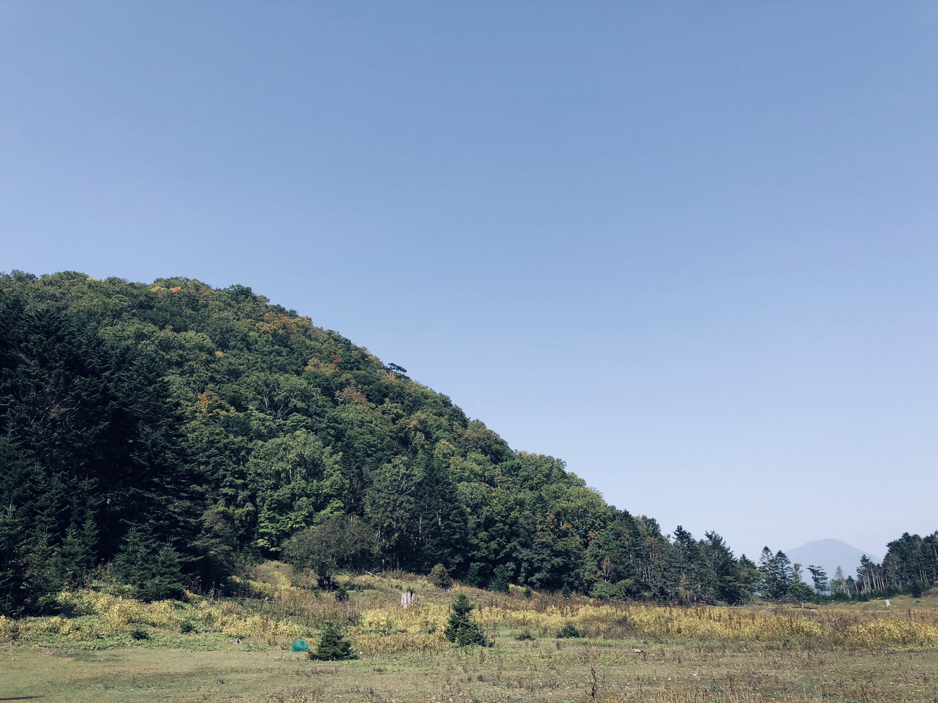 北海道自助遊攻略