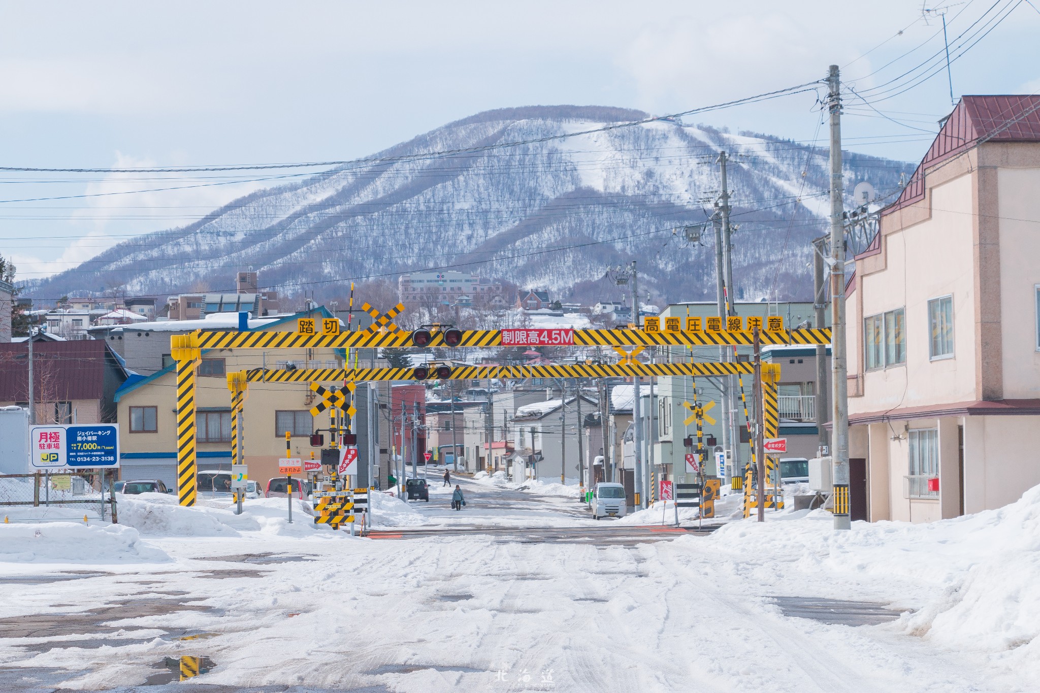 北海道自助遊攻略