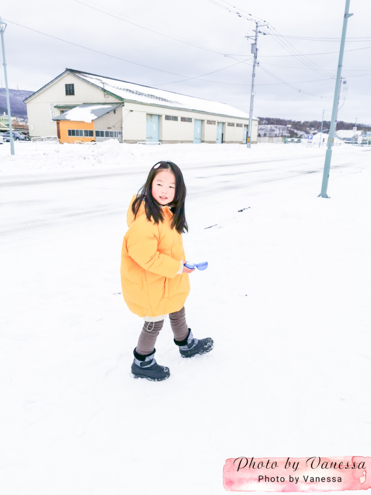 北海道自助遊攻略