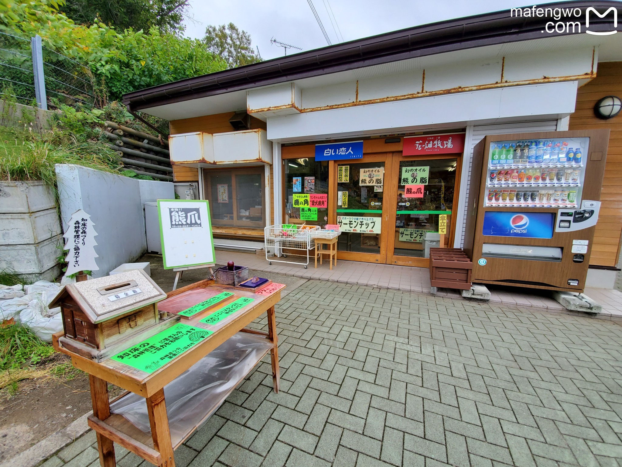 北海道自助遊攻略