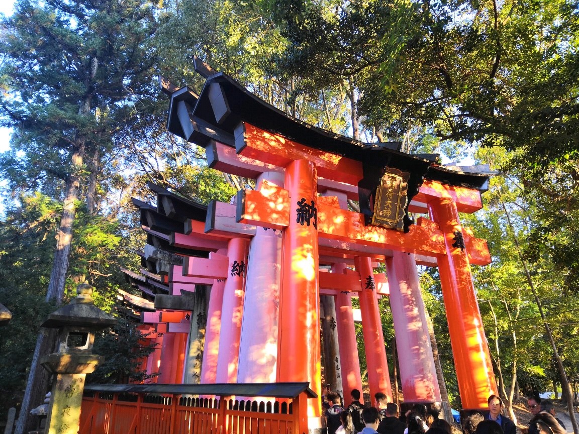 东大阪市旅游图片