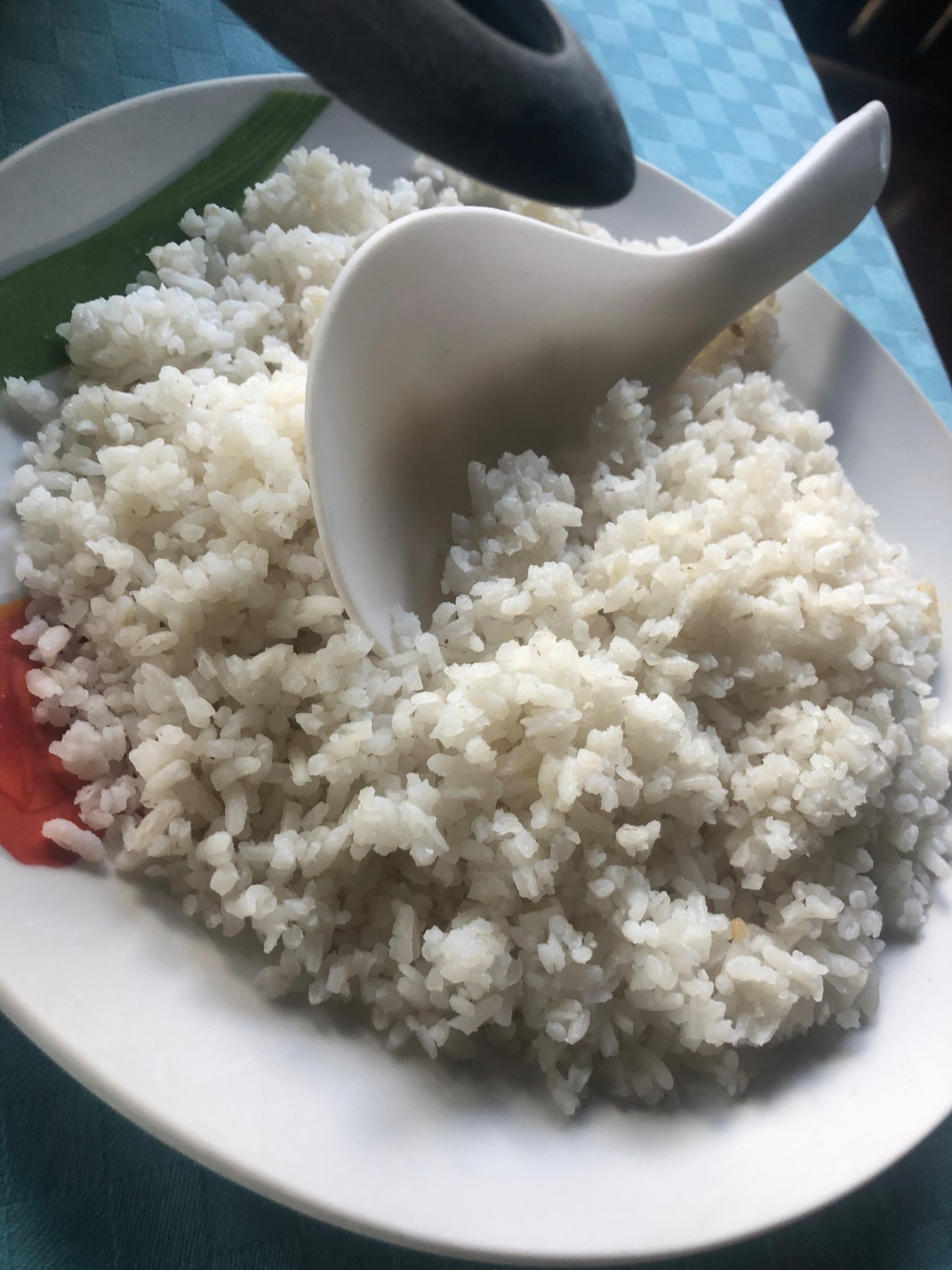 古巴自助遊攻略