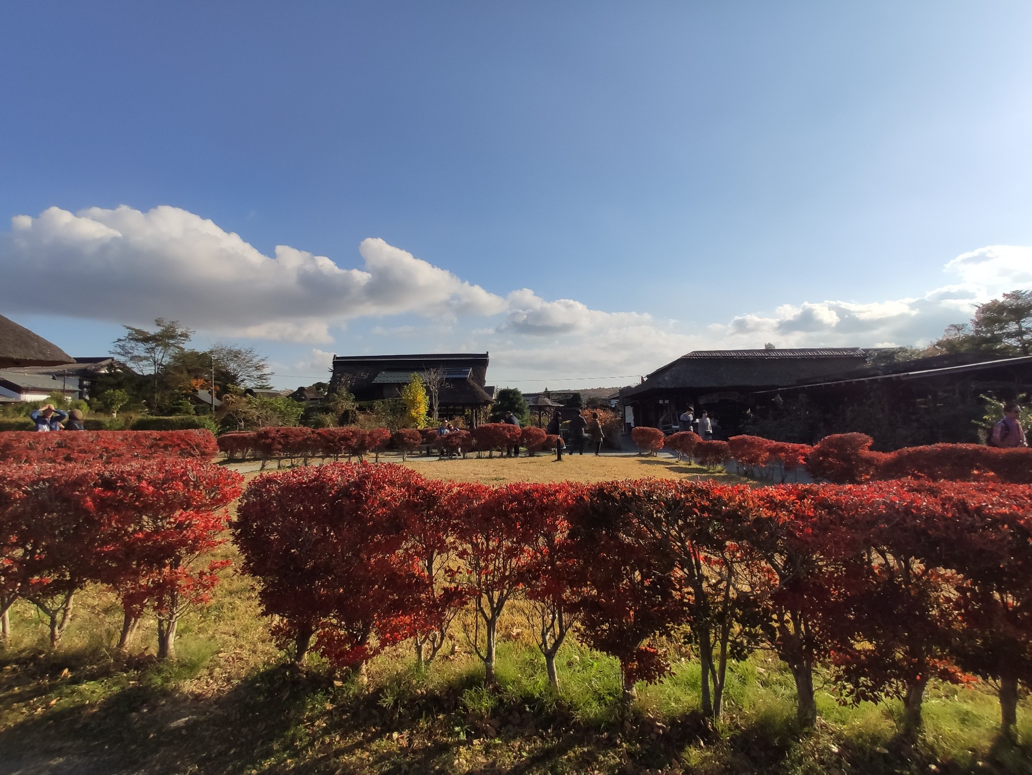 富士山自助遊攻略