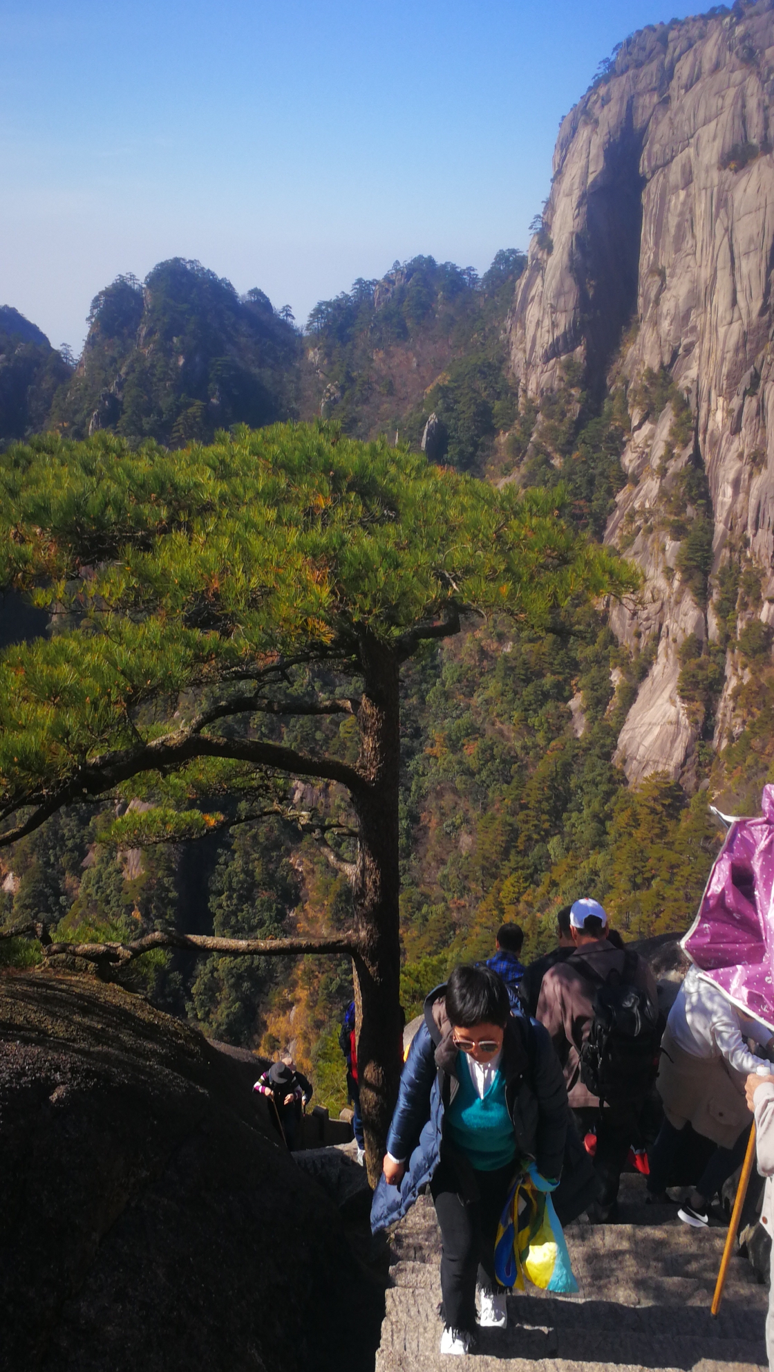 黄山旅游攻略(黄山旅游攻略一日游自由行攻略)